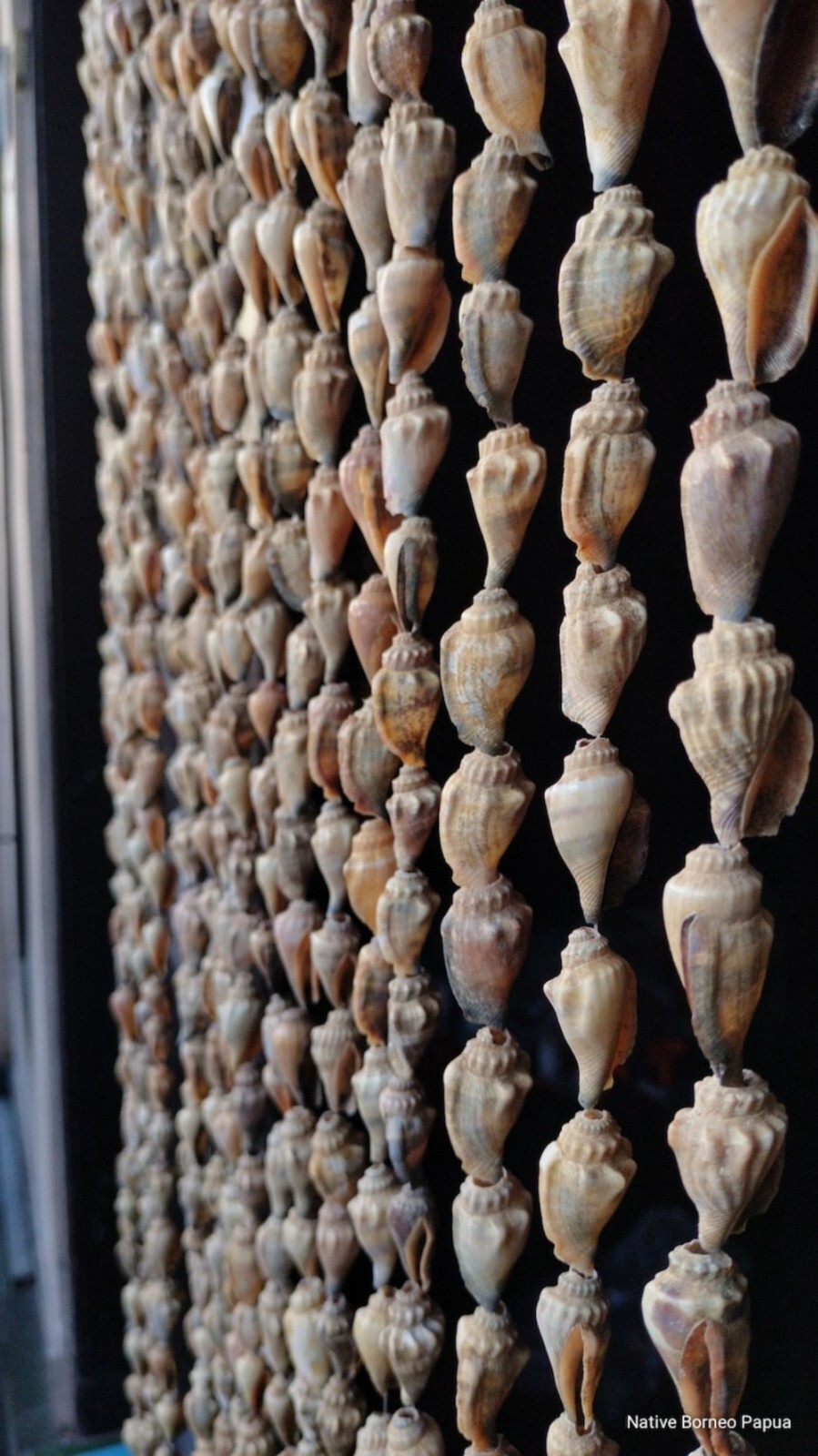 10 strand Papua big shells curtains,new guinea art, home decor, gifts,wall deco