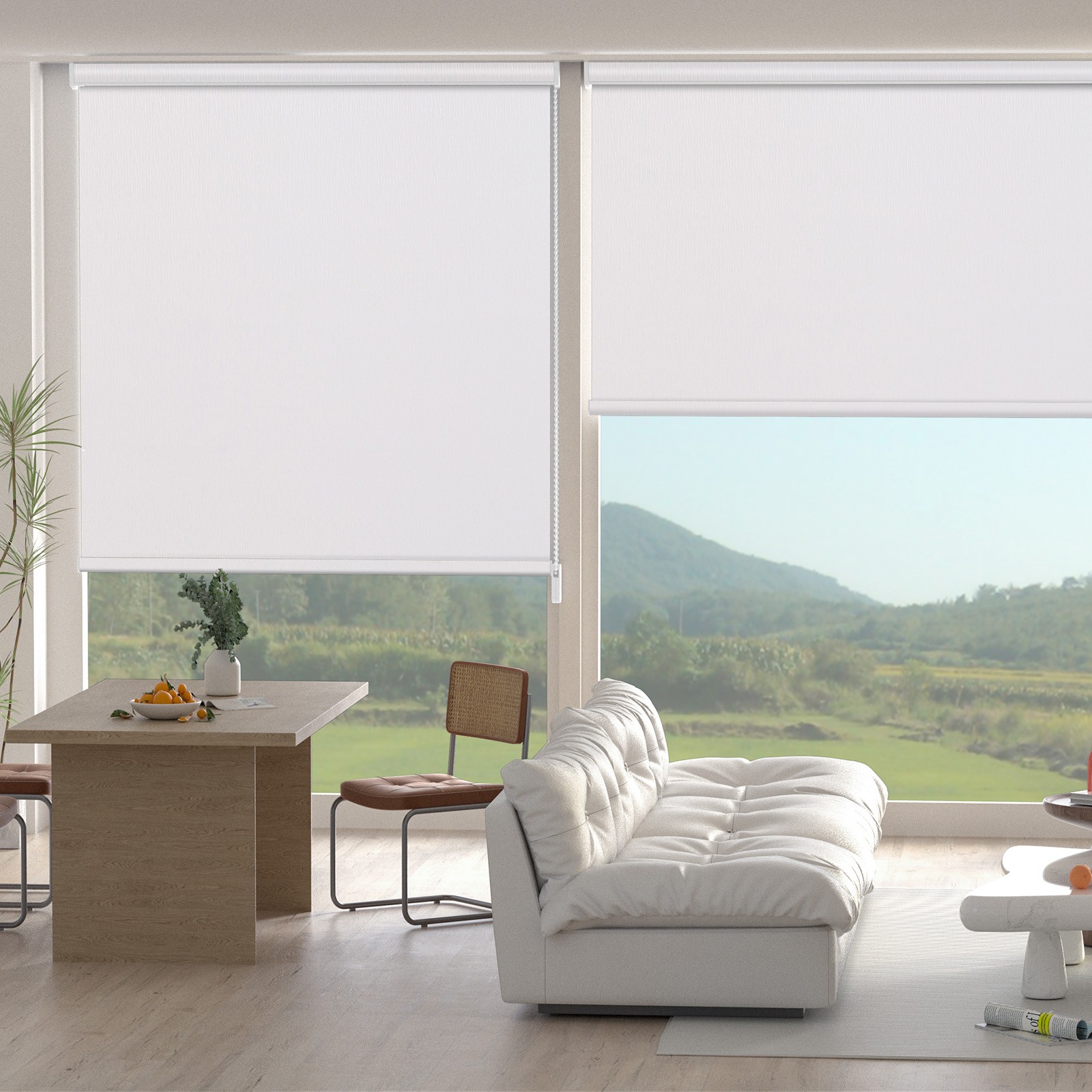 Changshade CUSTOM Made Roller Shades Roll-up Blind Corded Blackout Window Blinds