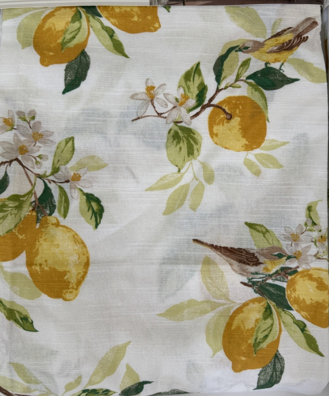 New Rachel Aswell The Farmhouse Lemon Tree Birds Drapes 50″ x 84 Set of 4