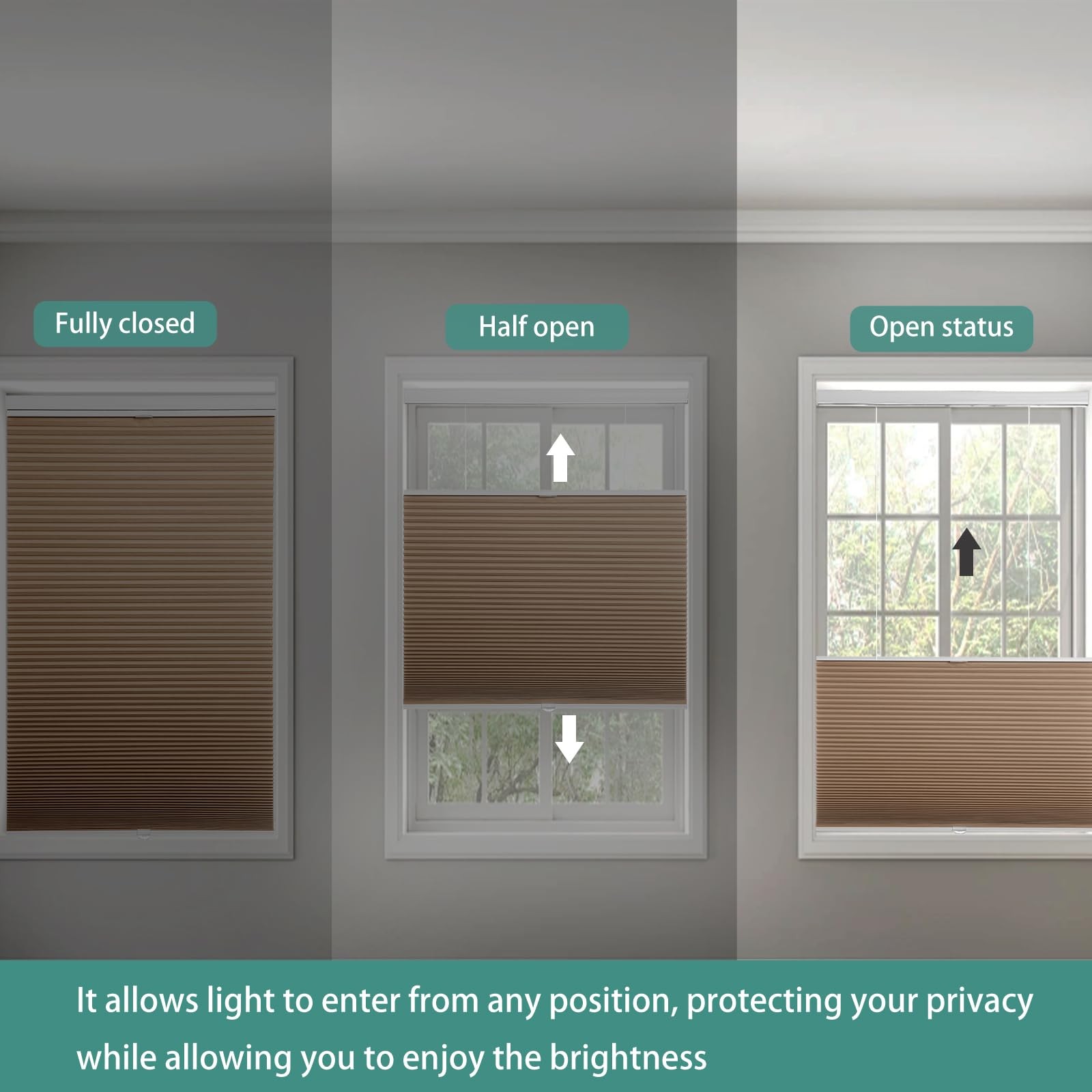 Changshade Blackout Top Down Bottom Up Cellular Shades Cordless Honeycomb