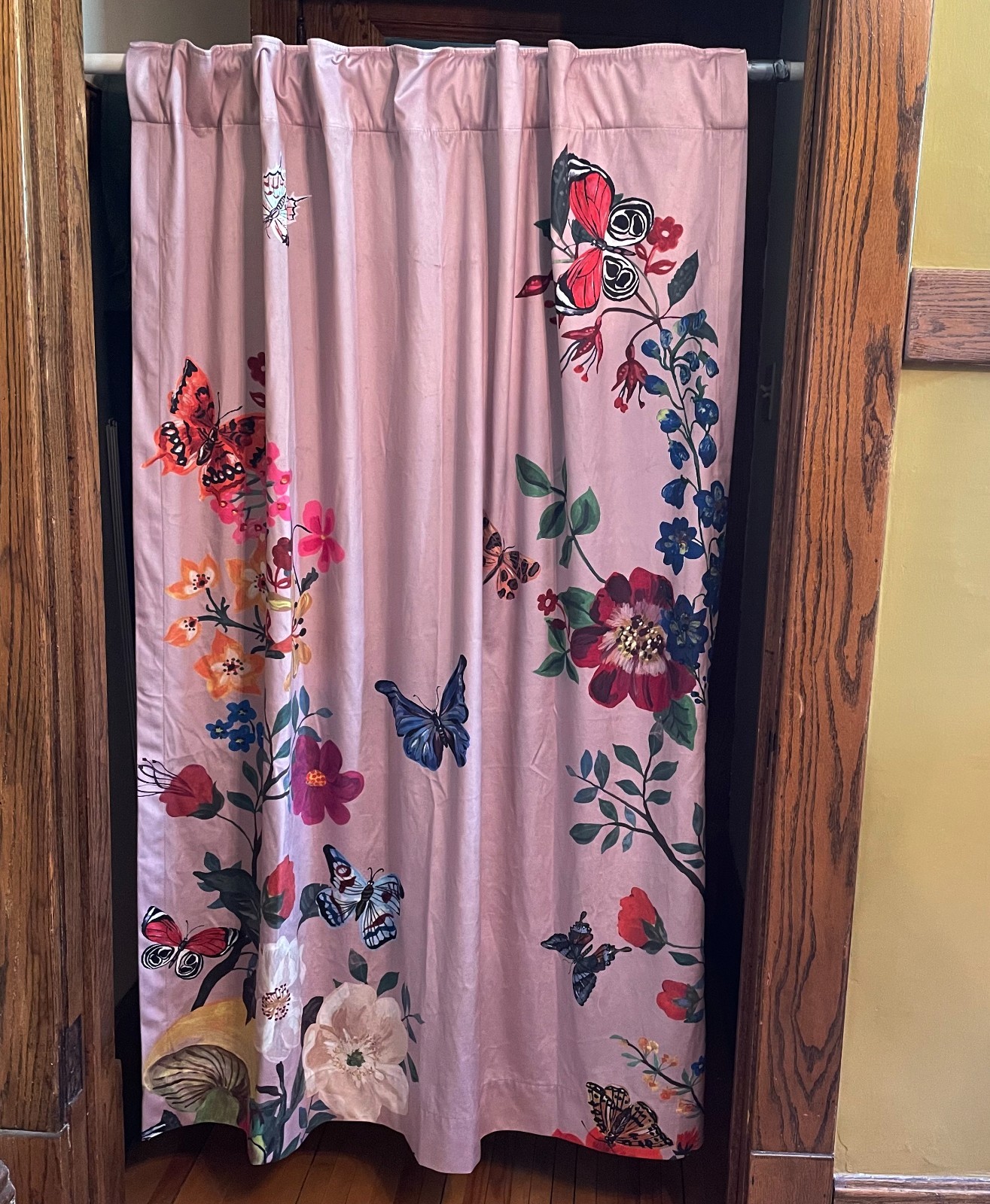 Natalie Leté Anthropologie Pink Velvet Butterfly Floral Curtain Panel 50″ x 63″