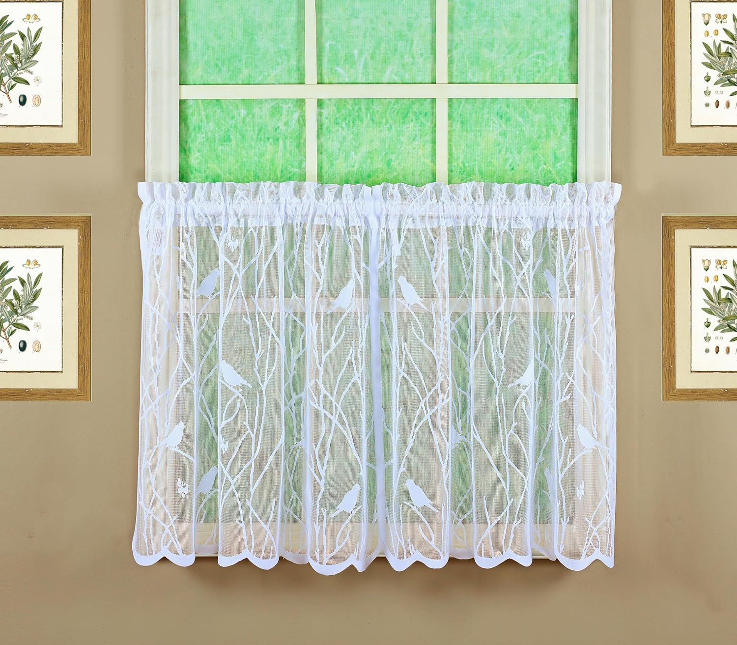 , Songbird Semi-Sheer Lace Tier 24″, White, 56″ W X 24″ L