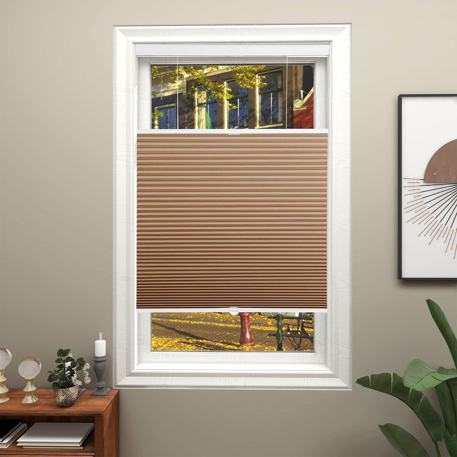 Changshade Blackout Top Down Bottom Up Cellular Shades Cordless Honeycomb