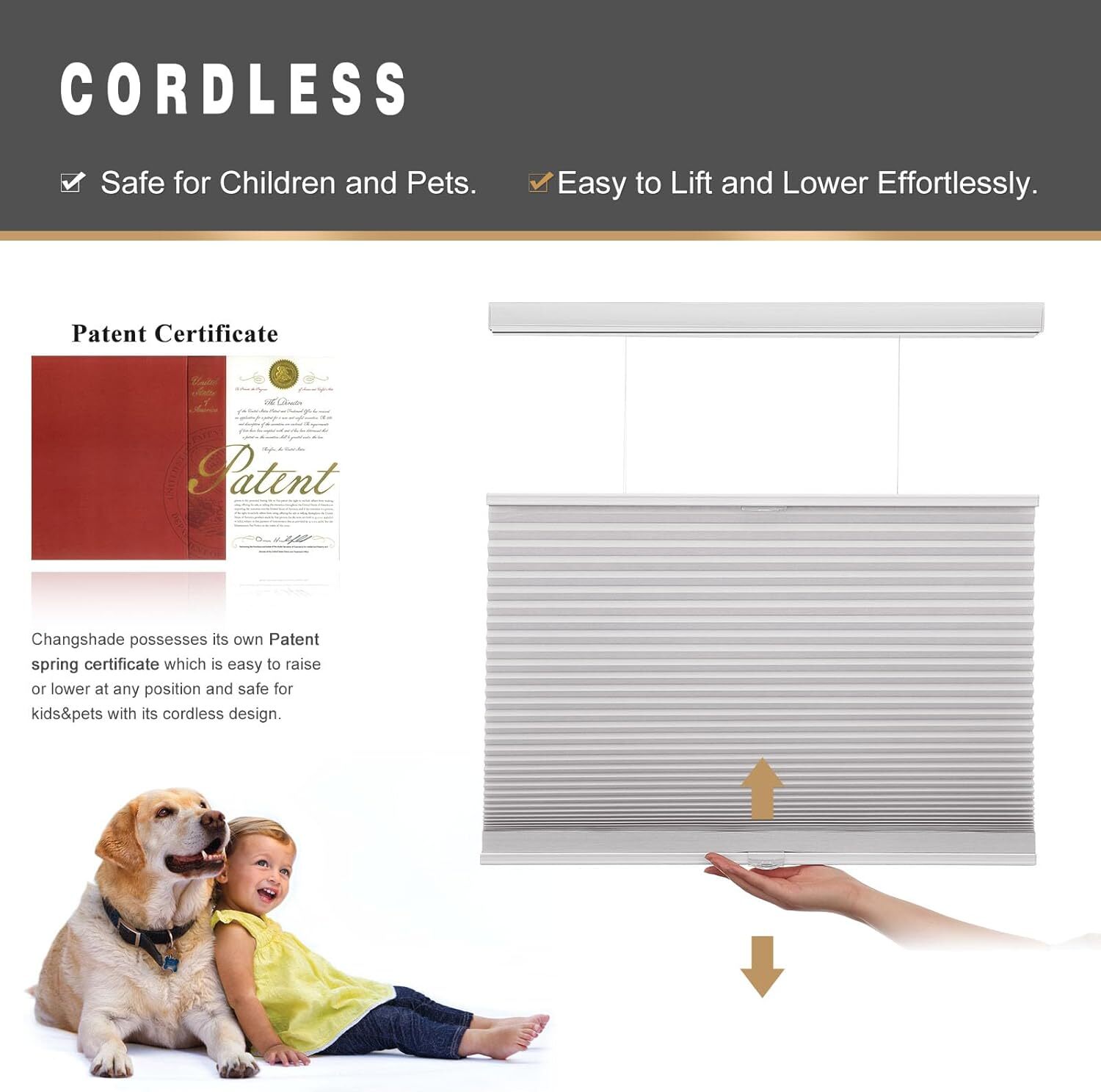 CUSTOM Light Filtering Cellular Blinds Top-Down Bottom Up Honeycomb Shades