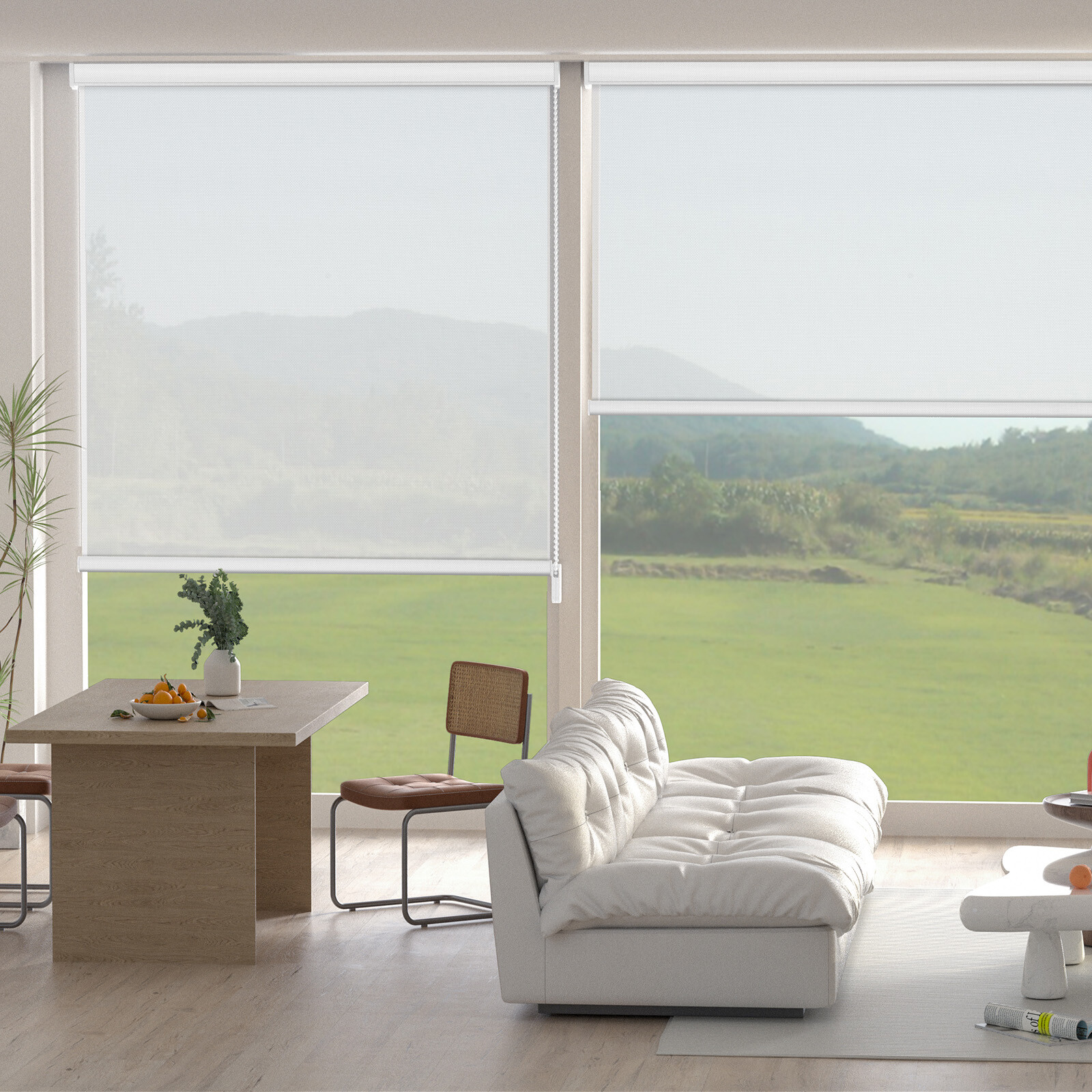 Changshade CUSTOM Made Corded Light Filtering Window Blinds Roller Shades