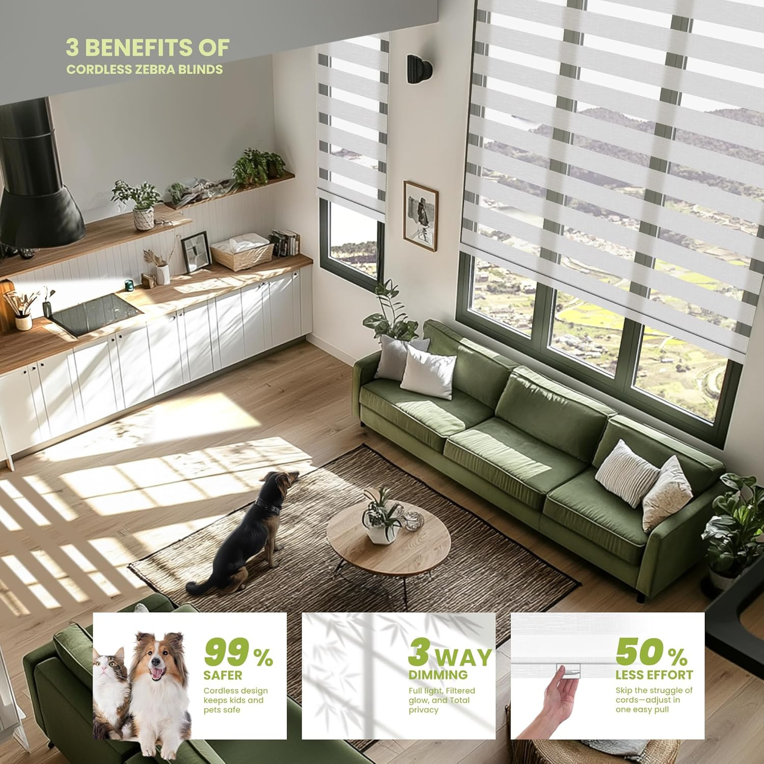 Customizable Cordless Zebra Blinds – Light Filtering & Blackout, 34″ x 72