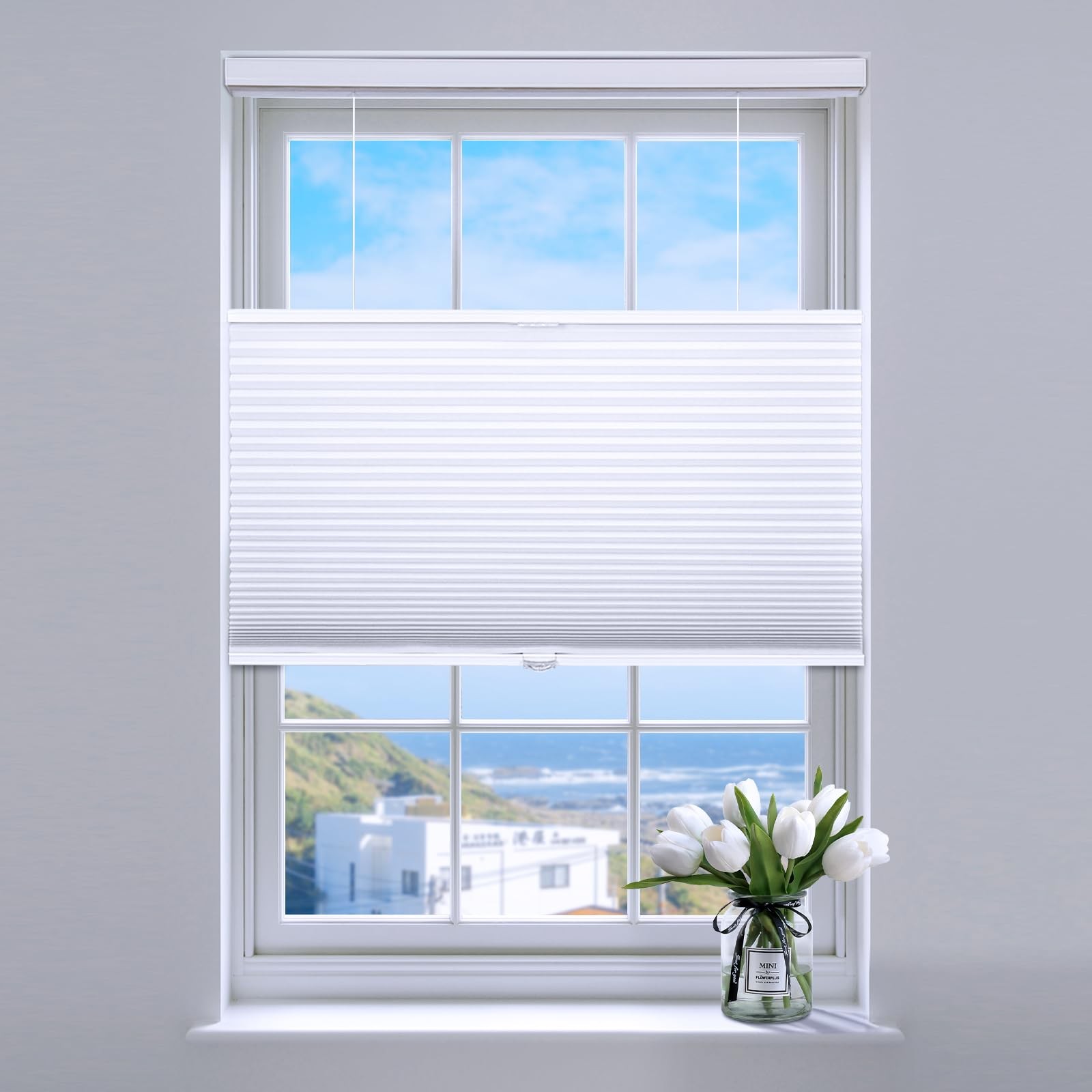 Top Down Bottom Up Cellular Blinds,Cellular Shades Blackout, Honeycomb Window…