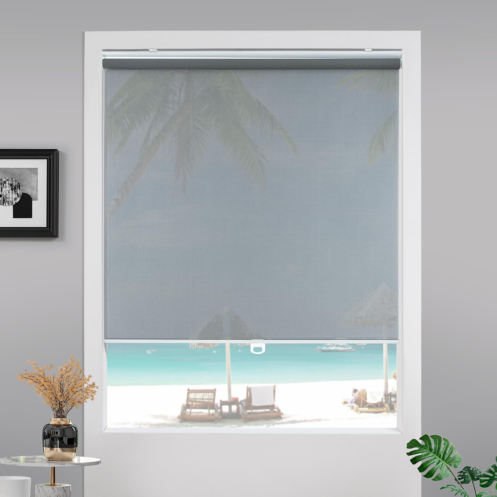Cordless Roller Shades for Windows,Light Filtering Pull Down Blinds,Solar Scr…