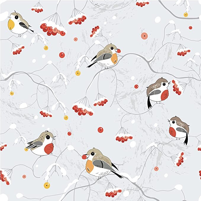 Window Privacy Film, Winter Berries and Bird Pattern