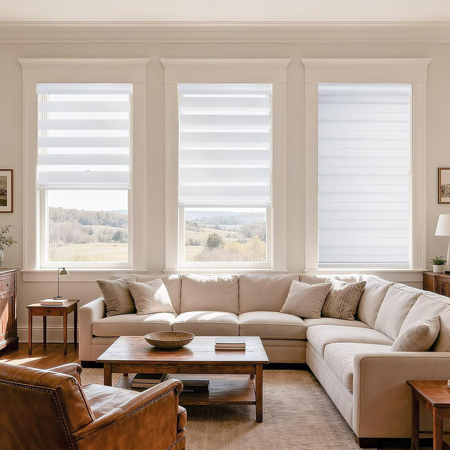 Cordless Zebra Blinds – Dual Layer Light Filtering & Privacy Shades, 34″ W X 72″
