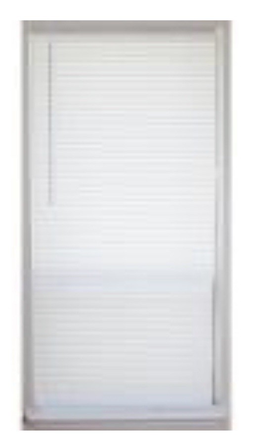 4 Pack Champion White Cordless Blinds with 1 in. Slats 23 in. W x 64 in. L