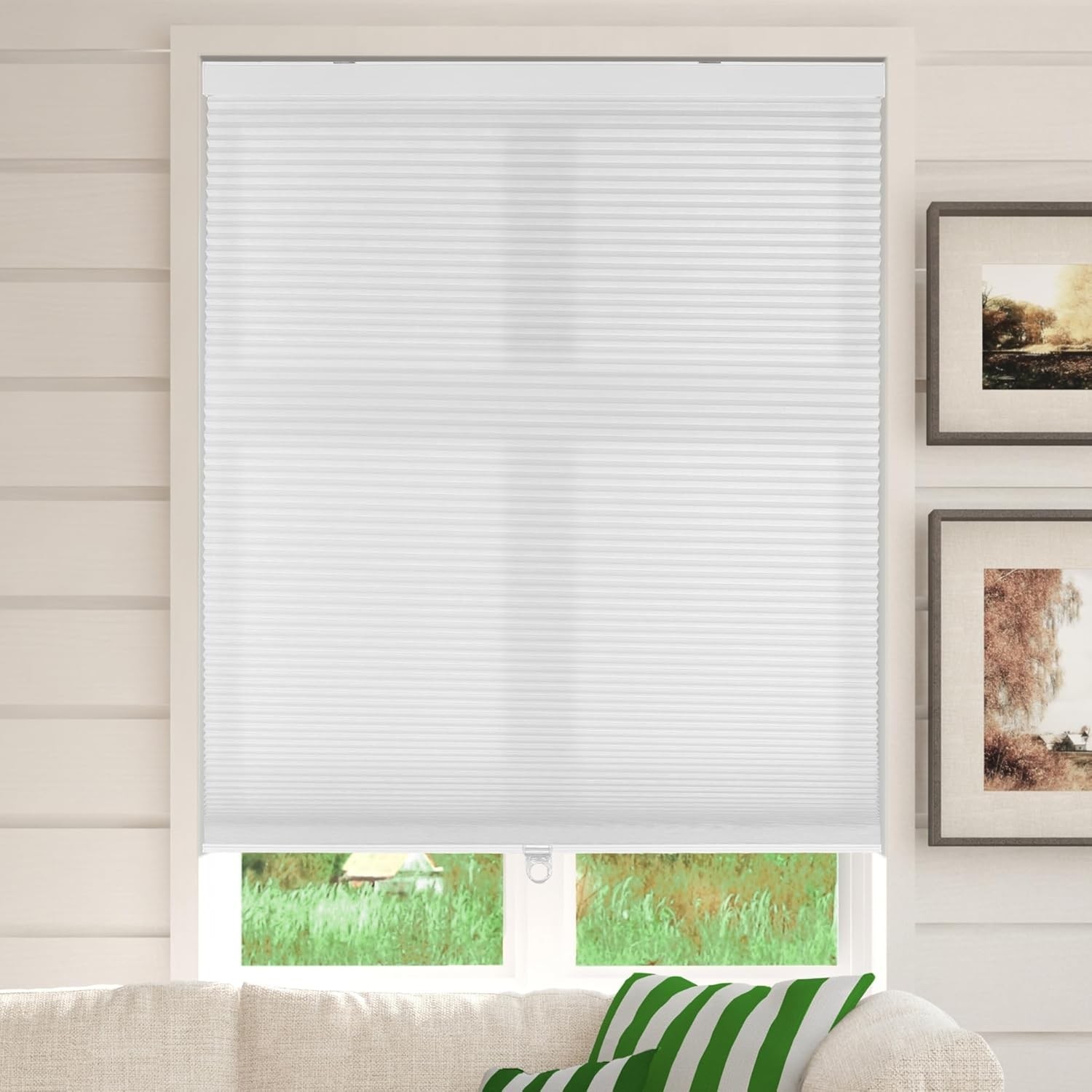Cellular Honeycomb Shade Light Filtering Cordless 3/8″ Single Cell 46.5″ W x 48″