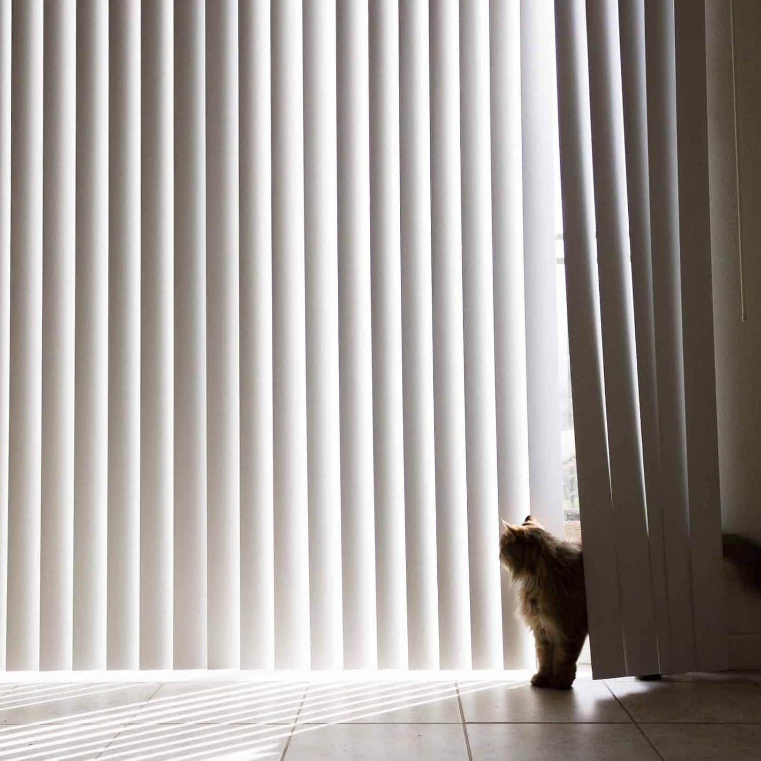 30 Sets (60 Pcs) Vertical Blinds Replacement Slats Panels, Vertical Blind Repair