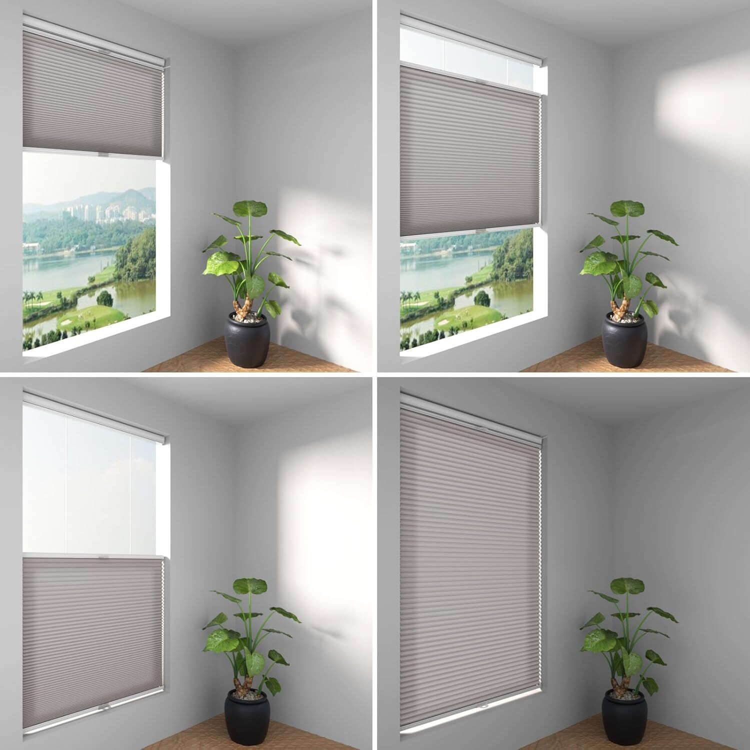 CUSTOM Light Filtering Cellular Blinds Top-Down Bottom Up Honeycomb Shades