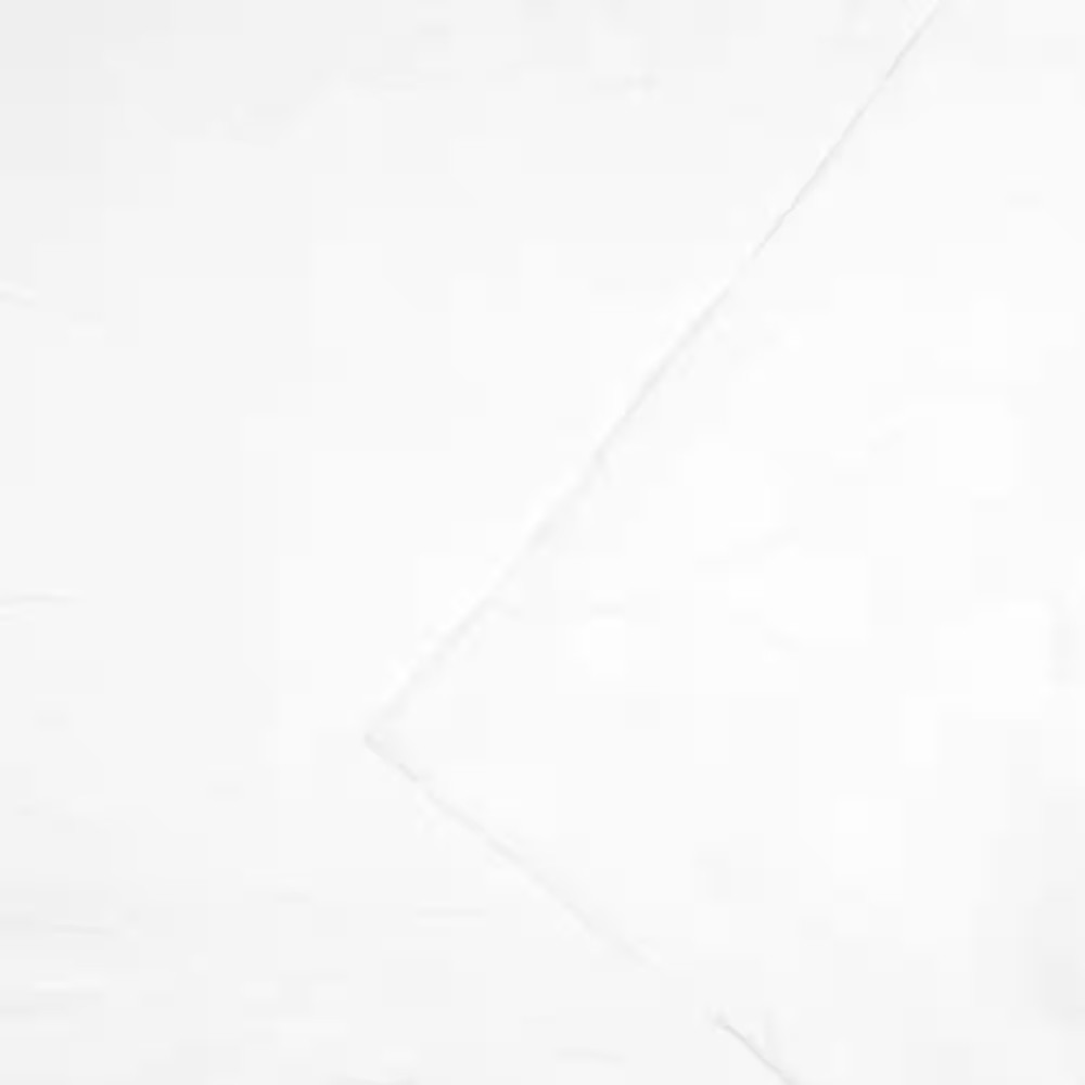 Wilshire Winter White Polyester Blend 54 In. W X 96 In. L Hidden Tab Sheer Curta