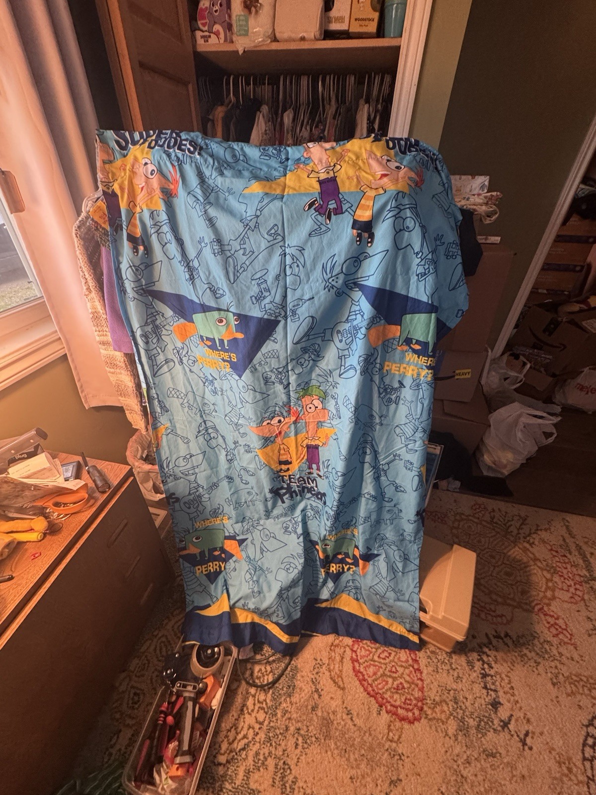 Phineas And Ferb Curtains Set Of 63”Length And 40”Wide ( 2 Panels)