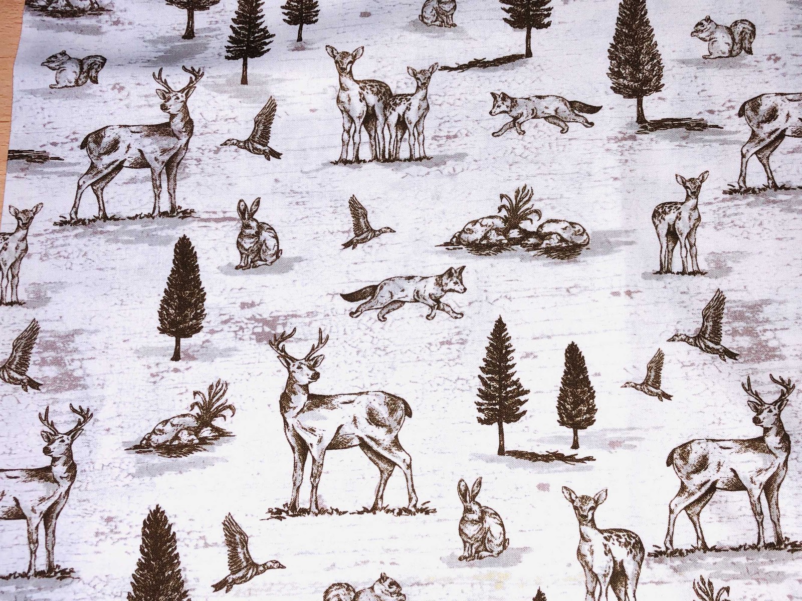 Woodland Wildlife Kitchen Valance Animal Outlines Rustic Cream Farmhouse Curtain