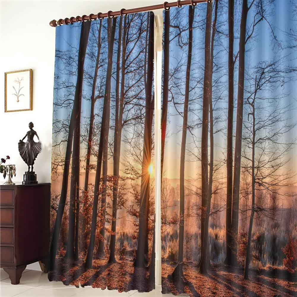 Warm Sun Forest In Winter 3D Blockout Photo Print Curtain Fabric Curtains Window
