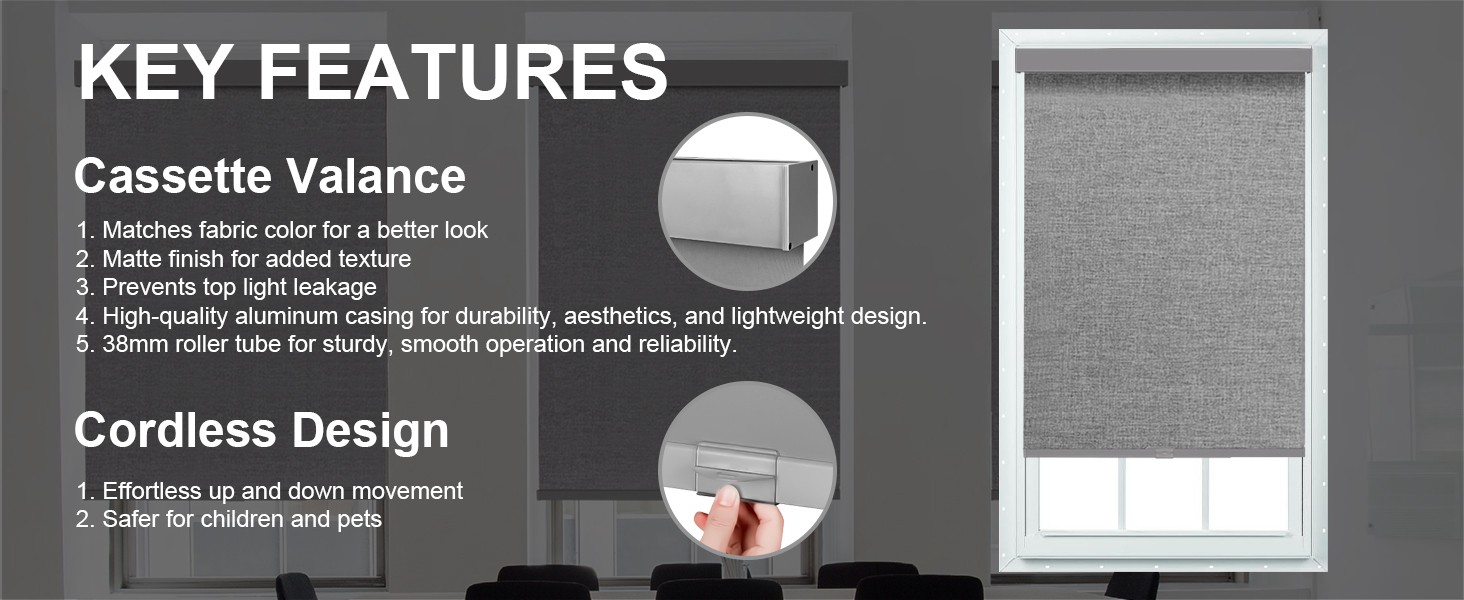 Blackout Roller Shades, Cordless Blinds with Valance, Window Shades for Home,