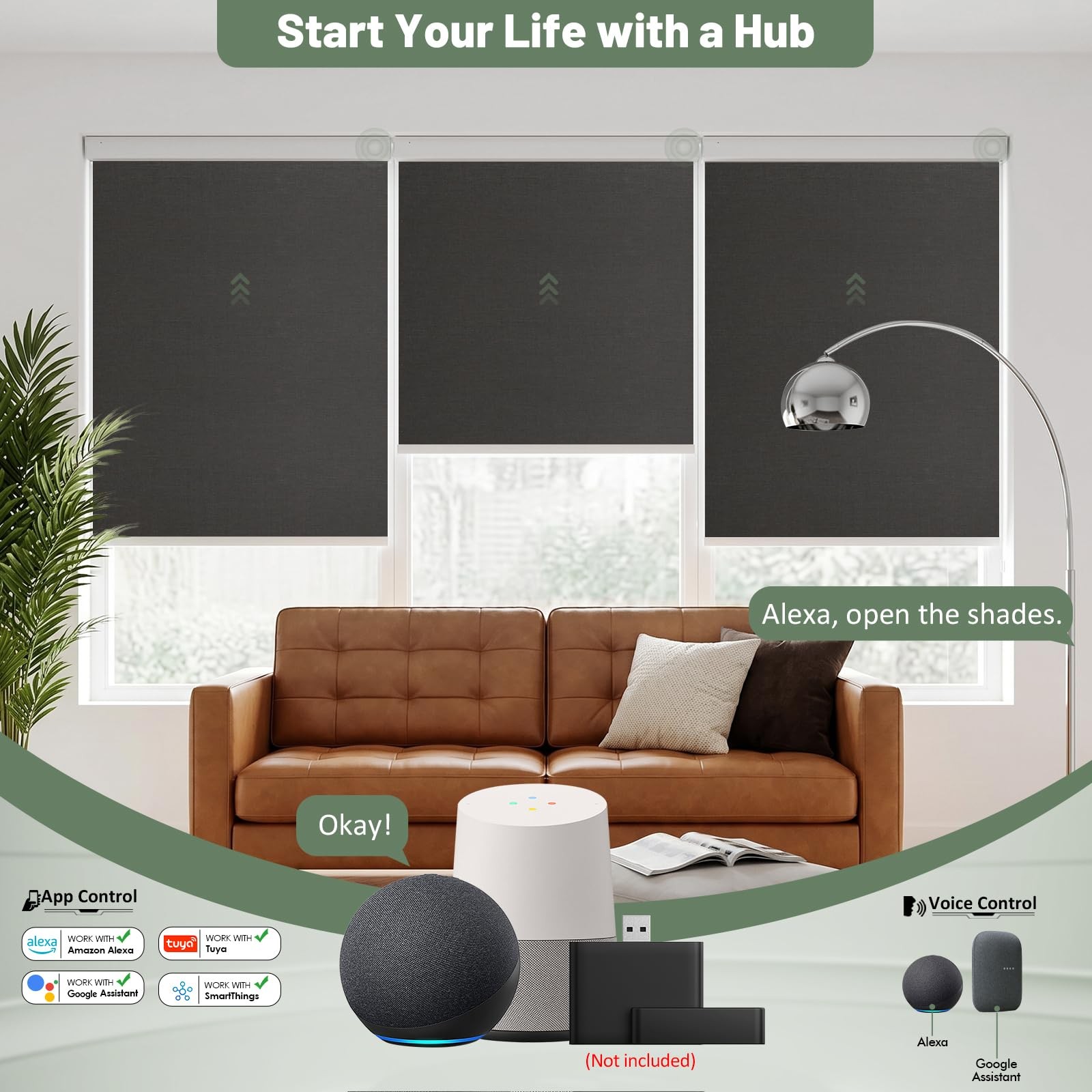 Dongfxk Motorized Blinds Remote Blackout No Drill Cordless Smart Roller Shades