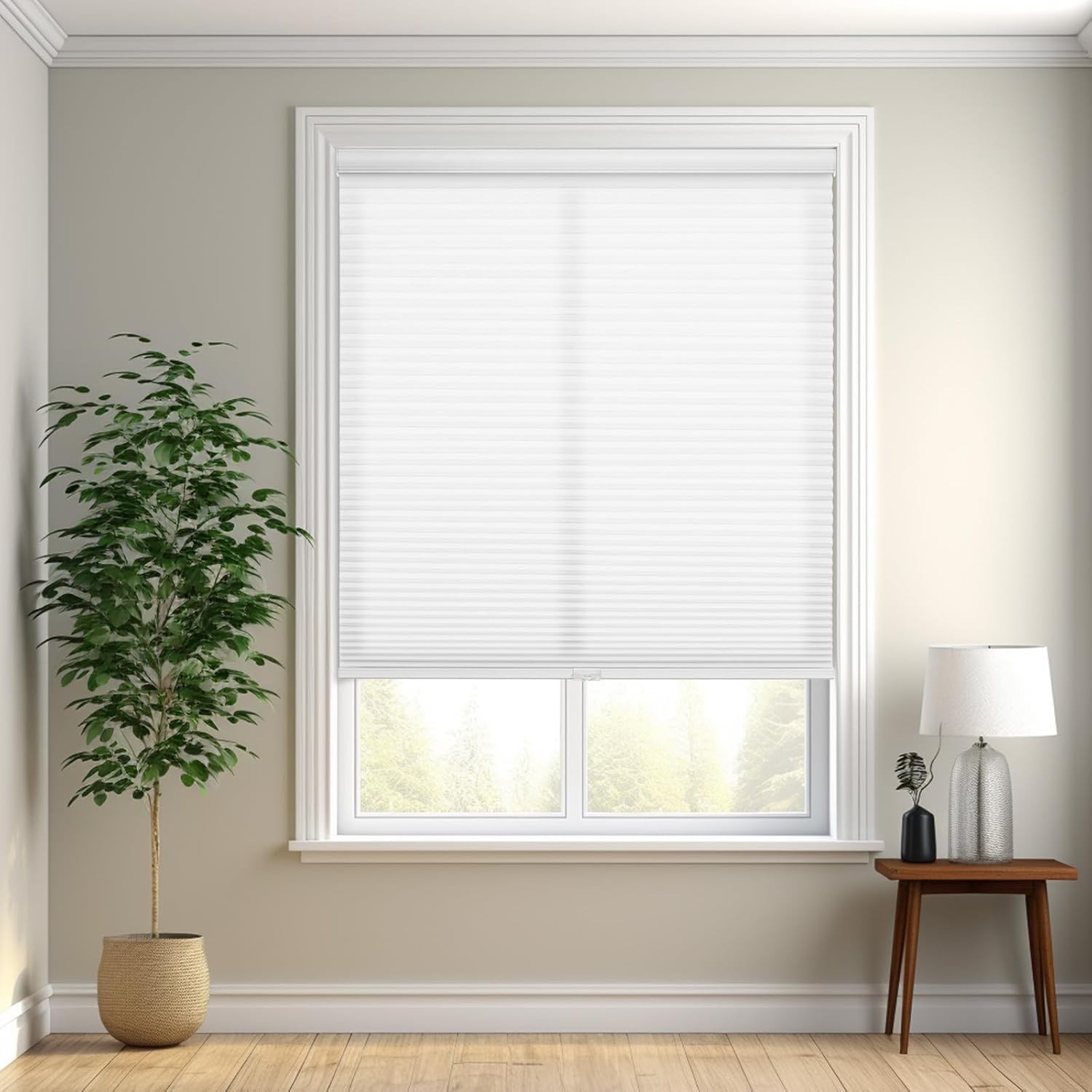Cordless Cellular Shades,Blackout Honeycomb Shades for Windows,Pull Down Plea…