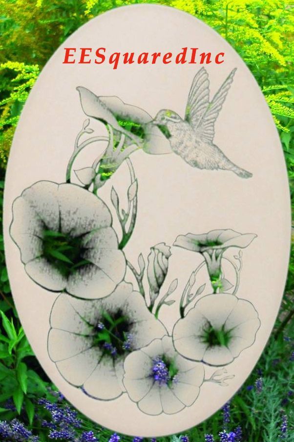 MORNING GLORY STATIC CLING WINDOW DECAL New Oval 15×23 Hummingbirds Floral Decor