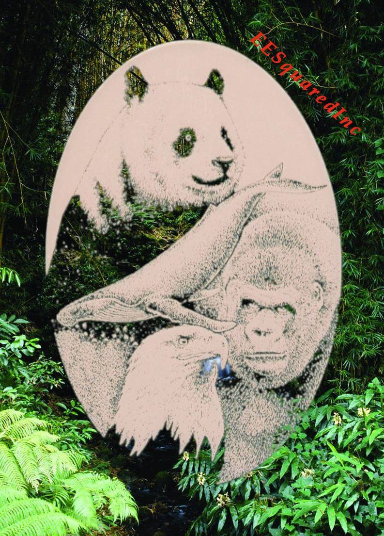 Panda Eagle Whale Gorilla Window Decal 10×16 Static Cling Vinyl Glass Decor NEW
