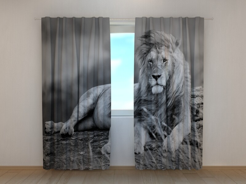3D Photo Curtain Mighty Lion Made to Measure