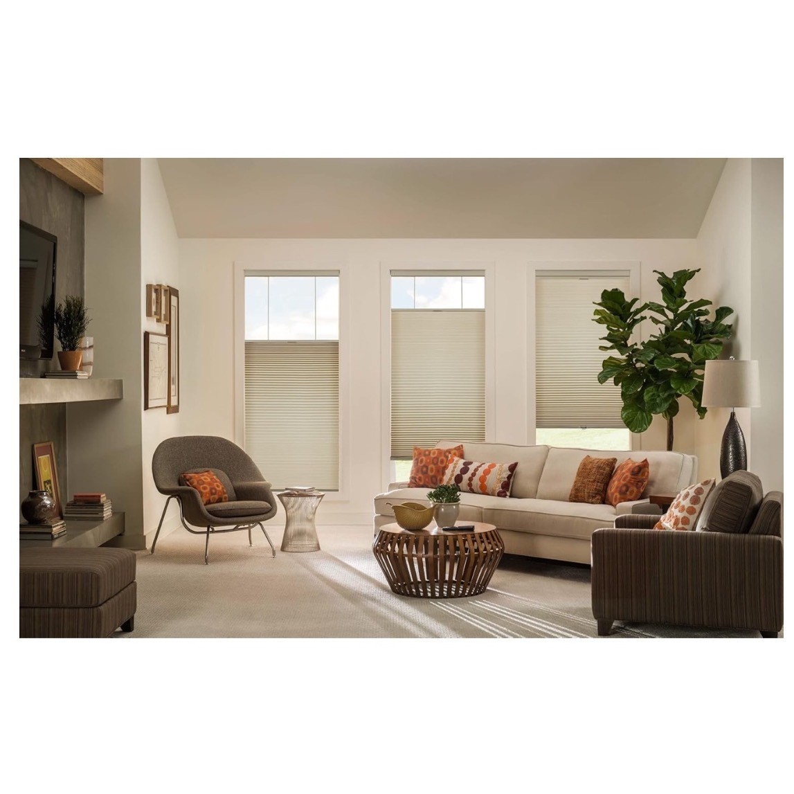 LazBlinds Cordless Shades Top Down Bottom Up Light Filtering 27″x64″ Brown
