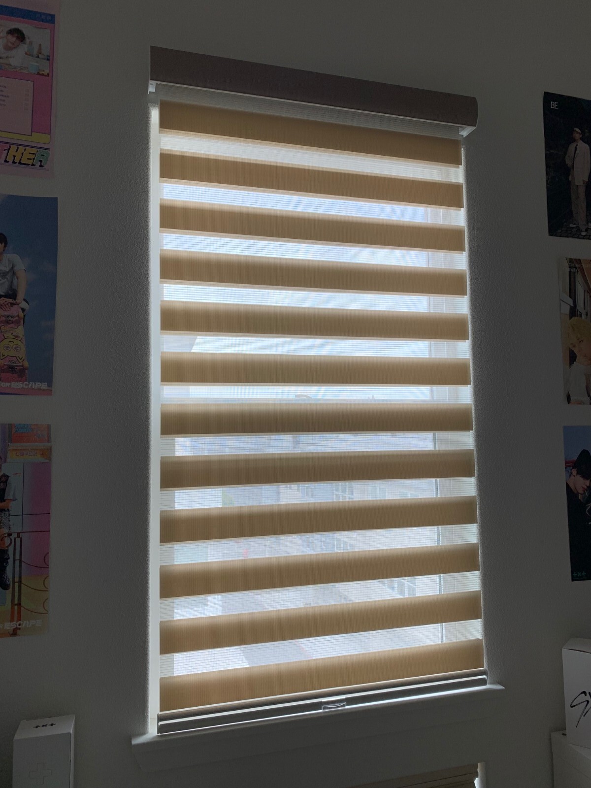GoDear Design Cordless Light Filtering Zebra Roller Shade Blinds 35″W x 72″L Tan