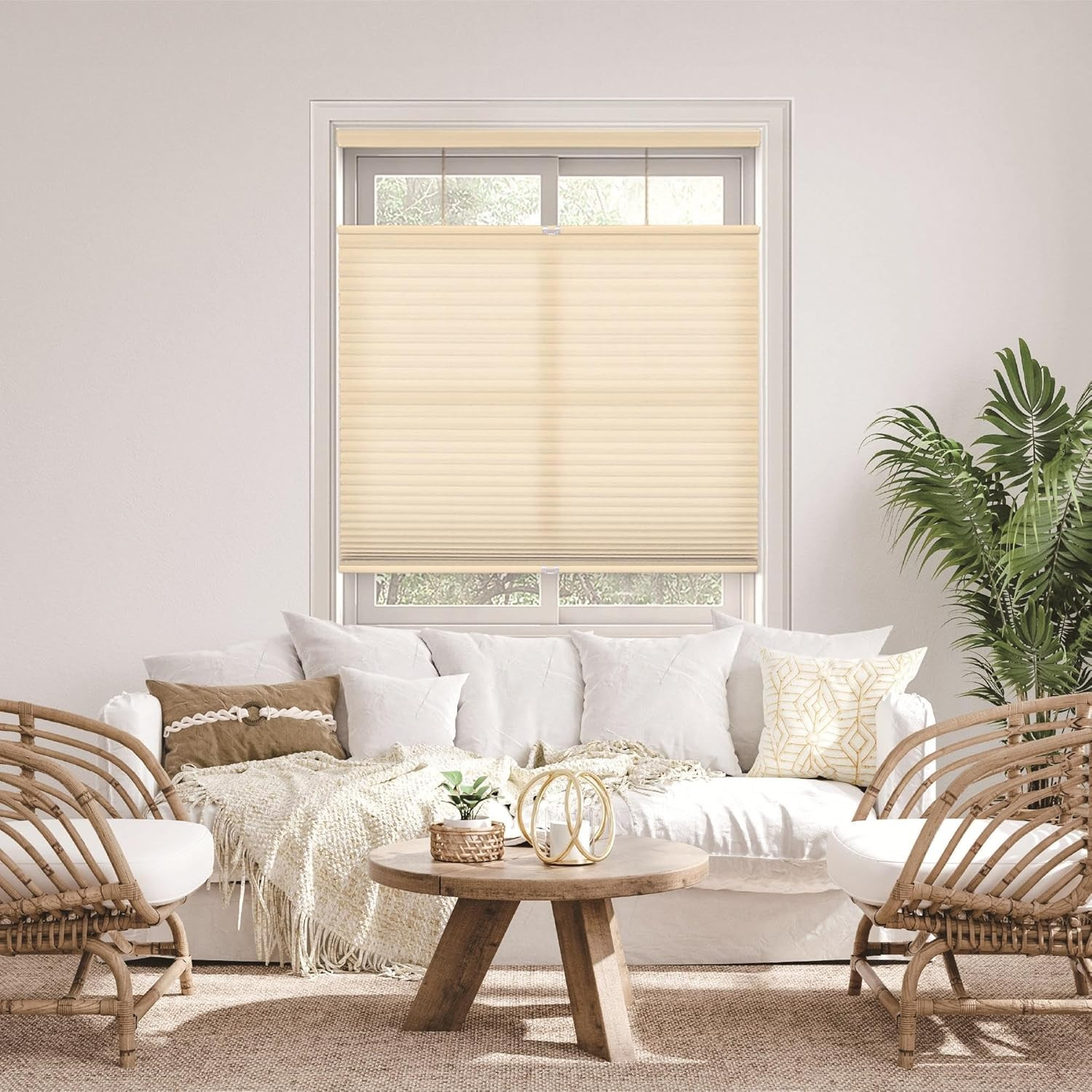 1.5″ Cordless Light Filtering Cellular Shade, Alabaster 71.5″x72