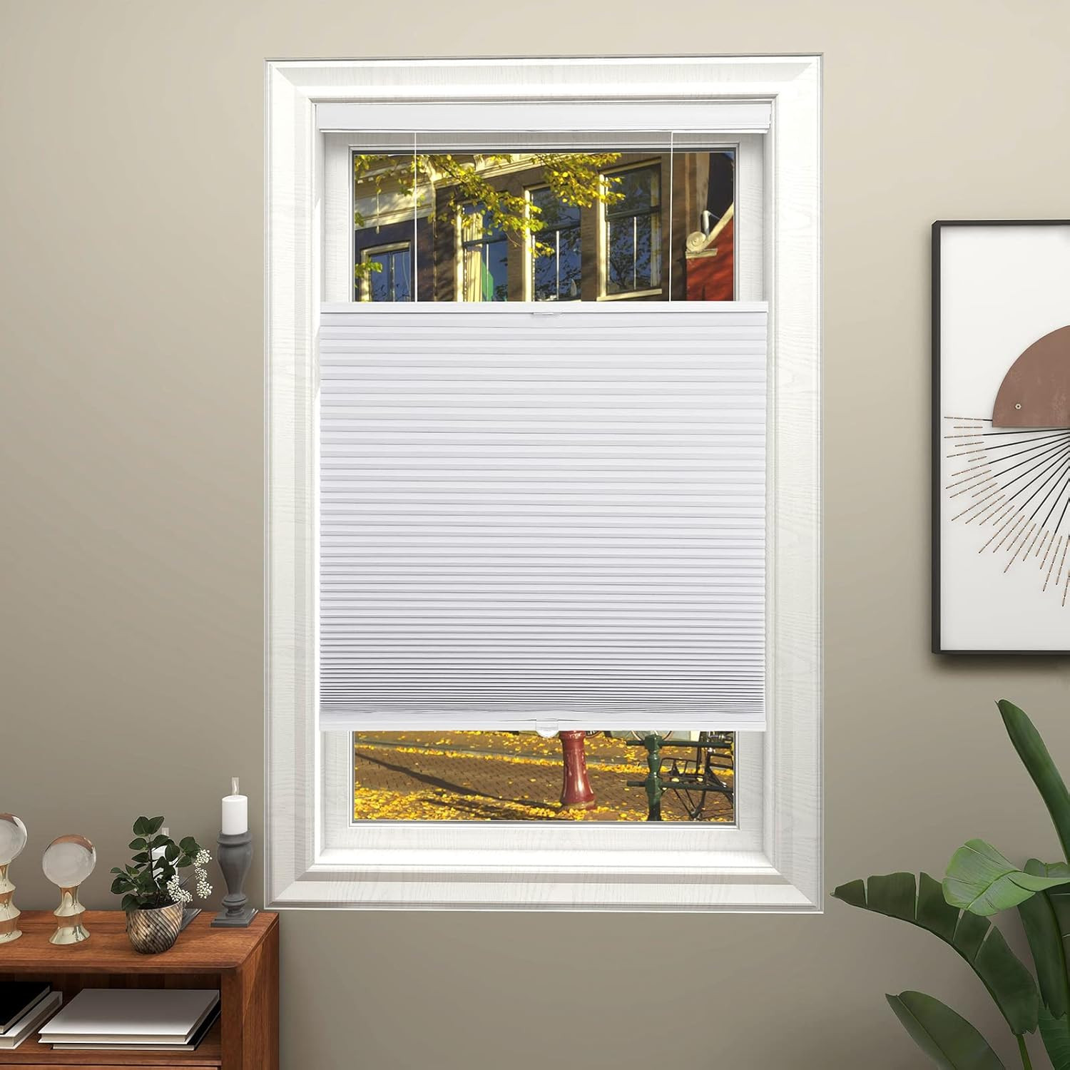 Cordless Blackout Cellular Shades, Top Down Bottom Up, 44″x72″, White