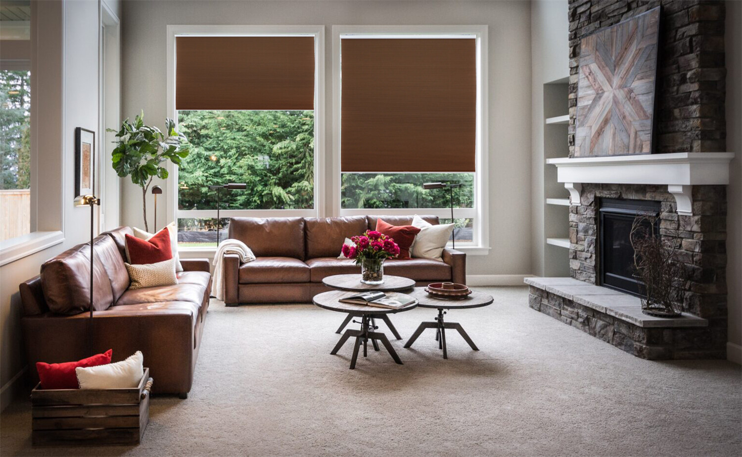Coffee 44″ W X 72″ H Privacy & Light Filtering Cordless Cellular Shades Window B