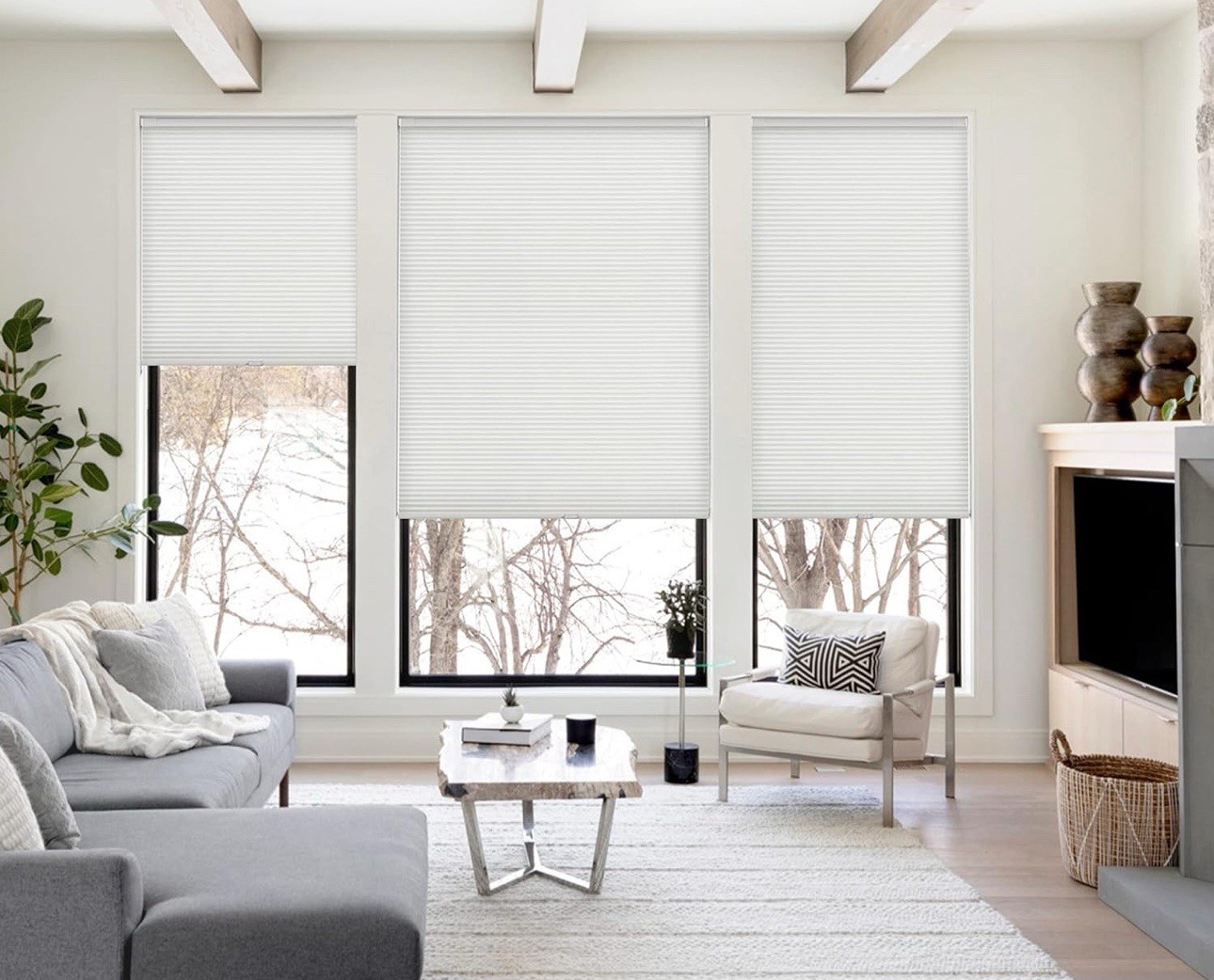 LazBlinds Cordless Cellular Shades 20.5×48 Light Grey No Drill Blinds