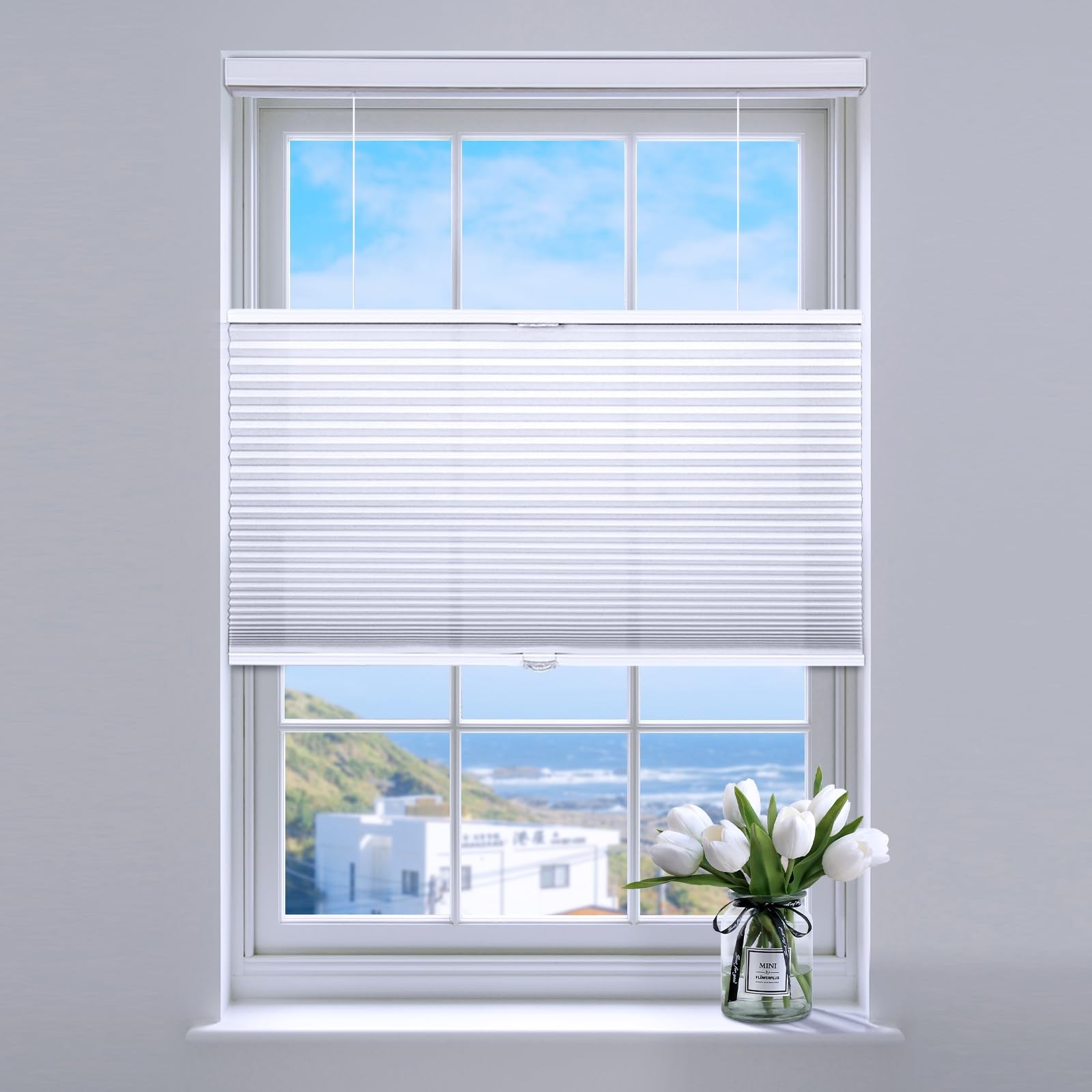 Top Down Bottom Up Cellular Blinds,Cellular Shades Blackout, Honeycomb Window…