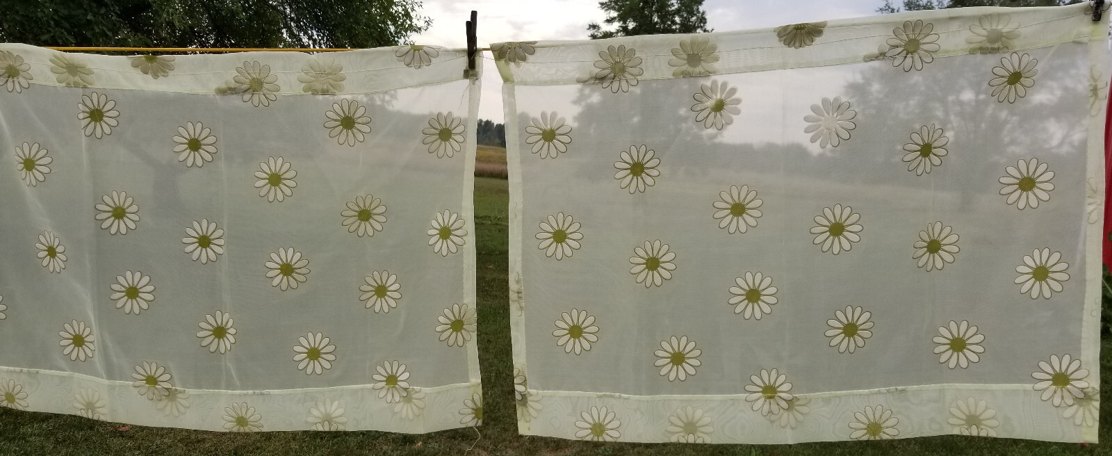 2 Flocked Green Daisy Curtain Panels Penneys Fashion Manor 33″wide 24″ long 60’s
