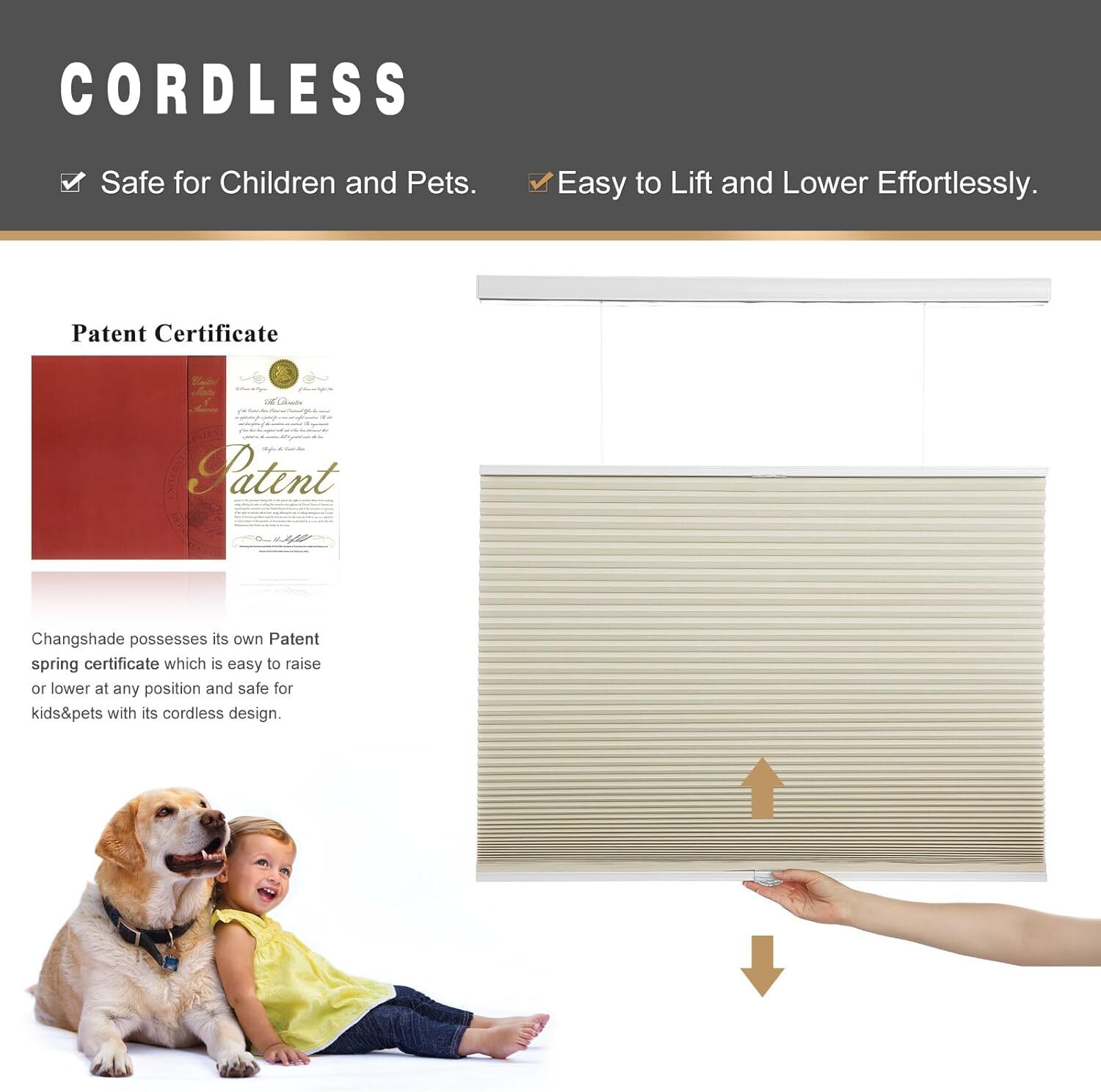 Changshade CUSTOM 100% Blackout Top Down Bottom Up Window Shade Honeycomb Blinds