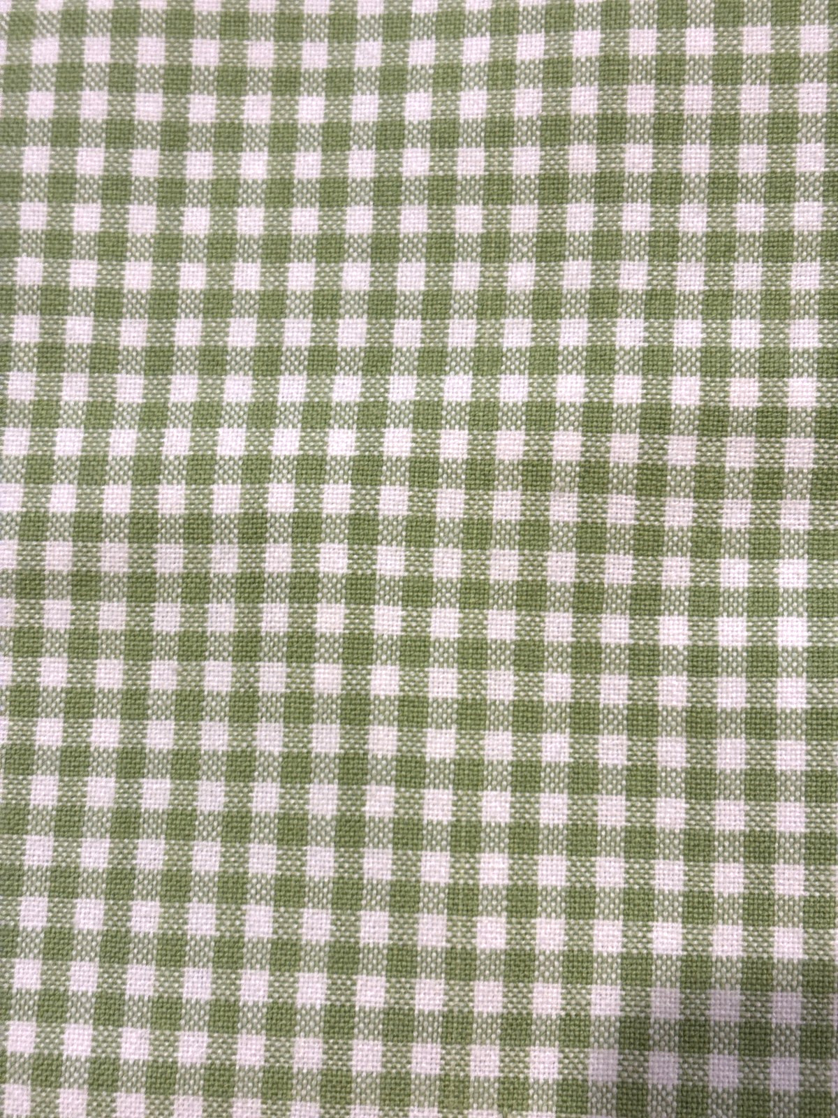 Pottery Barn Kids Lined Cotton Blackout Green Gingham Check Curtain Panel 44×84