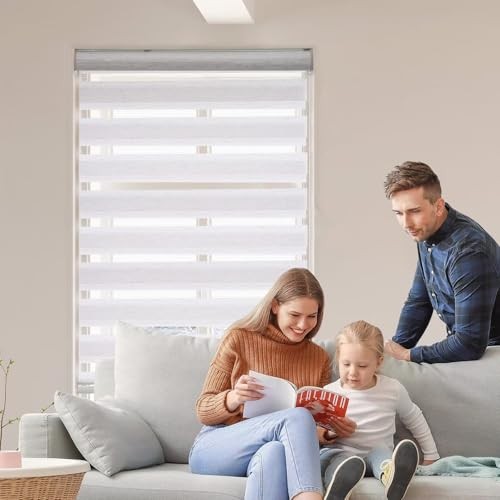 Roller Shades Zebra Blinds for Indoor Windows Cordless Day 28″W x 72″H Beige