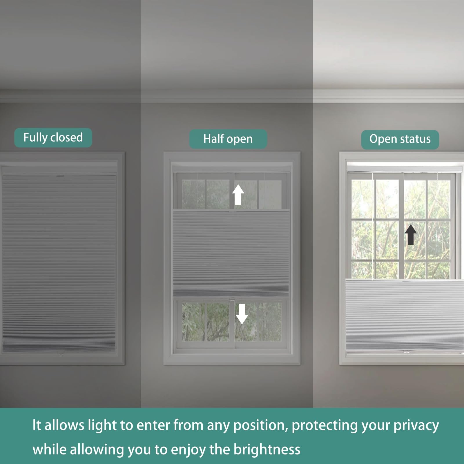 Changshade Blackout Top Down Bottom Up Cellular Shades Cordless Honeycomb