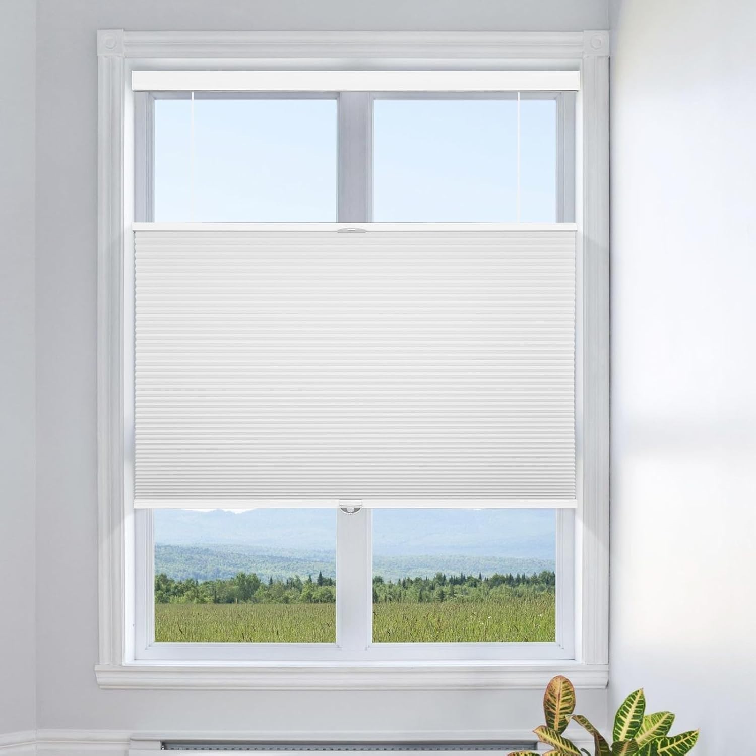 Grandekor Top Down Bottom Up Cellular Shades Cordless, 35″ W x 64″ H, White
