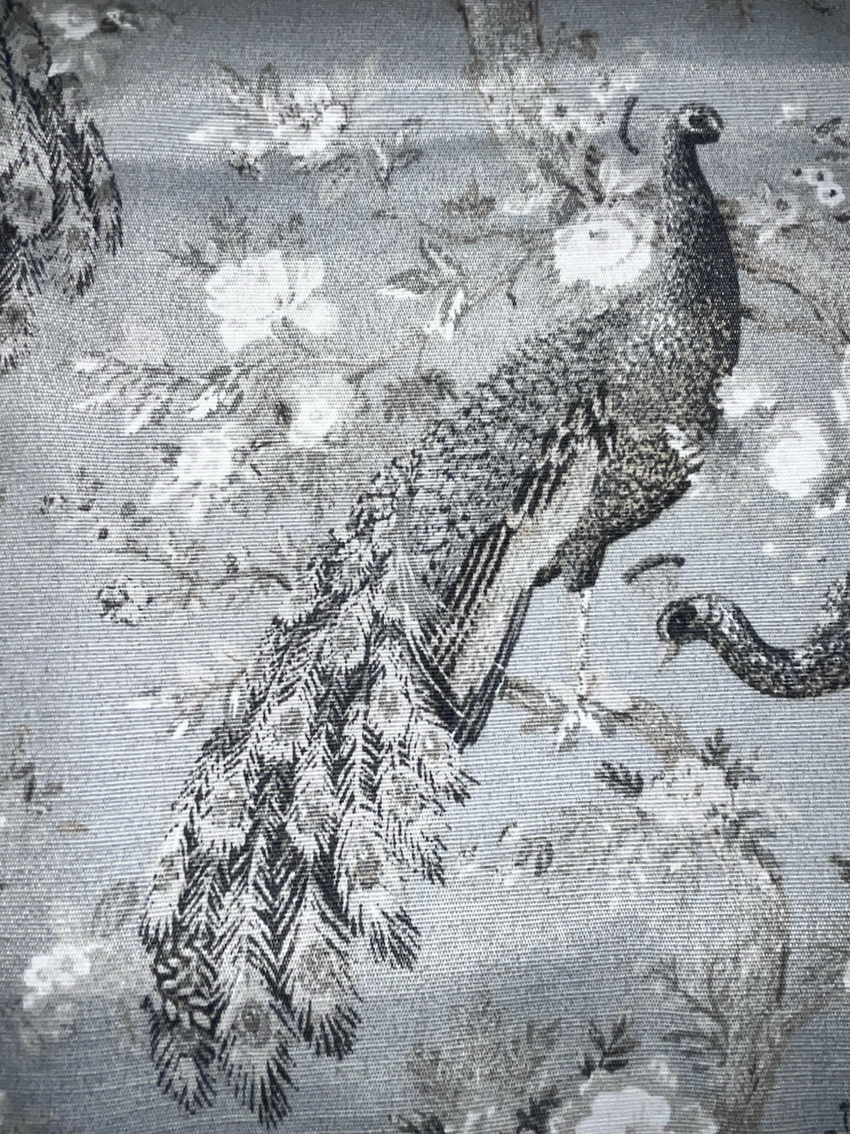 NWT LAURA ASHLEY GRAY PEACOCK AND FLORAL DESIGN CURTAINS/DRAPES SIZE 38”x 96”