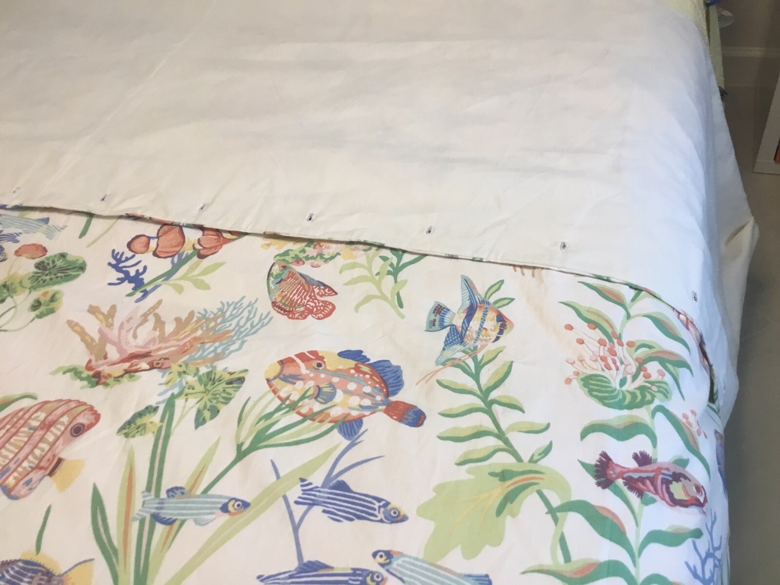 Curtain, Shower, Bedspread, Throw, Lined, 105 In Wide 80 In Long Sea Life Beige