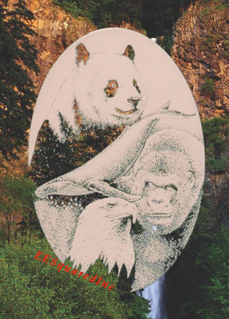 Panda Eagle Whale Gorilla Window Decal 10×16 Static Cling Vinyl Glass Decor NEW
