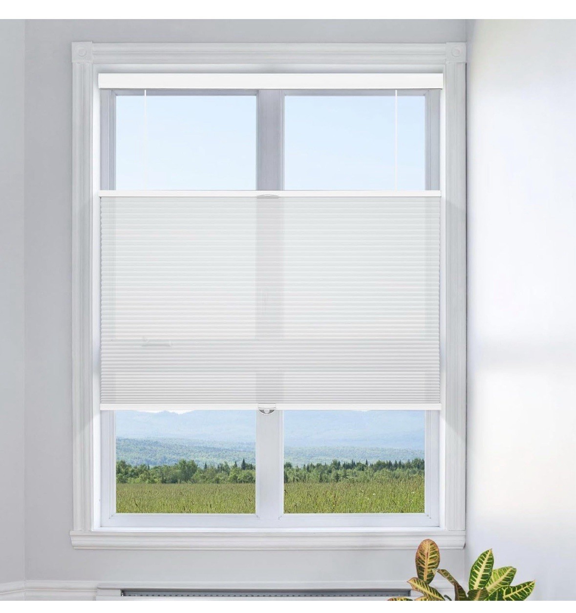 2X Top Down Bottom Up Cellular Shades Cordless Blinds for Windows 33W x 64H New