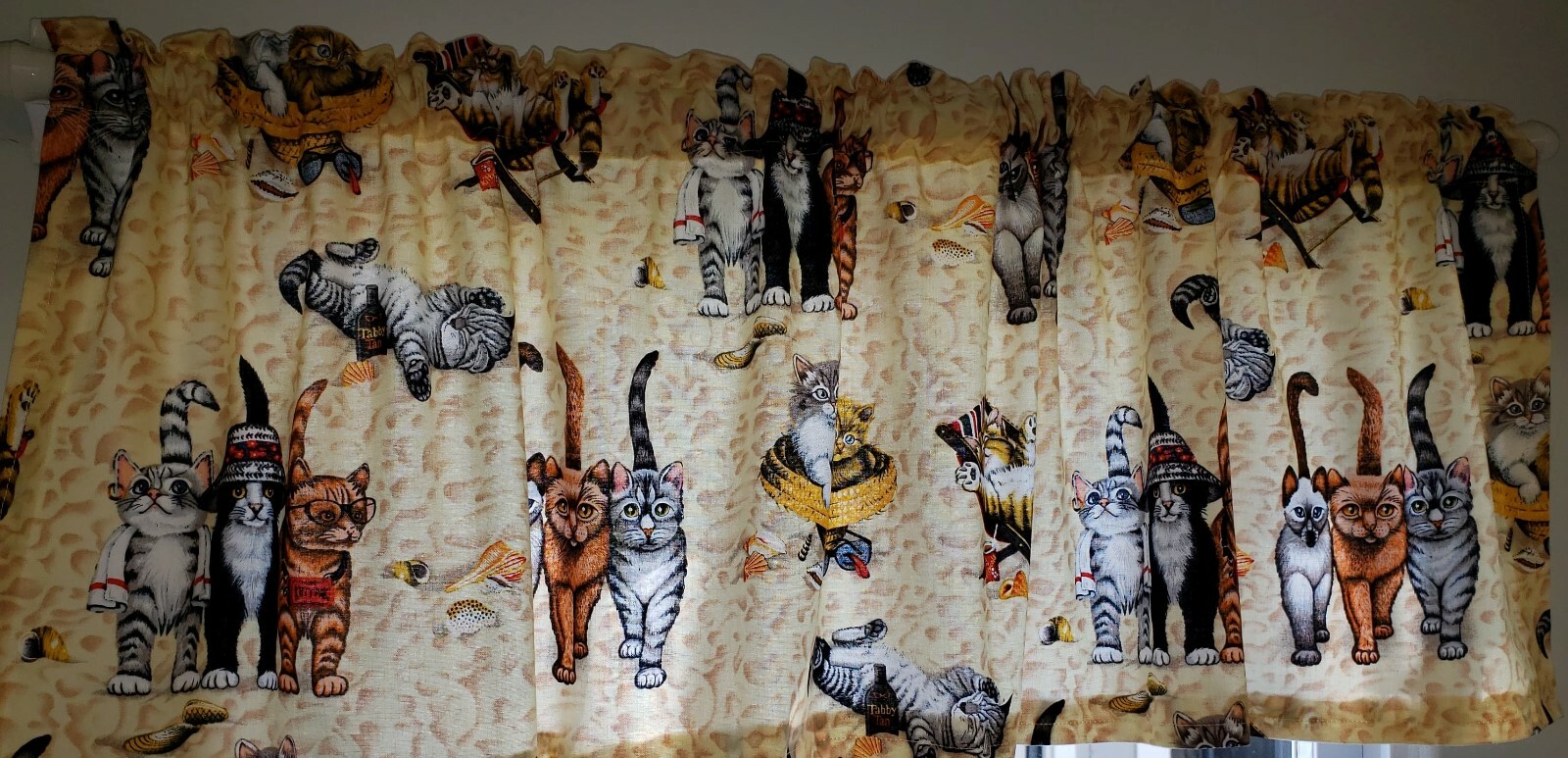 Beach Cats Valances, Curtains or Swags