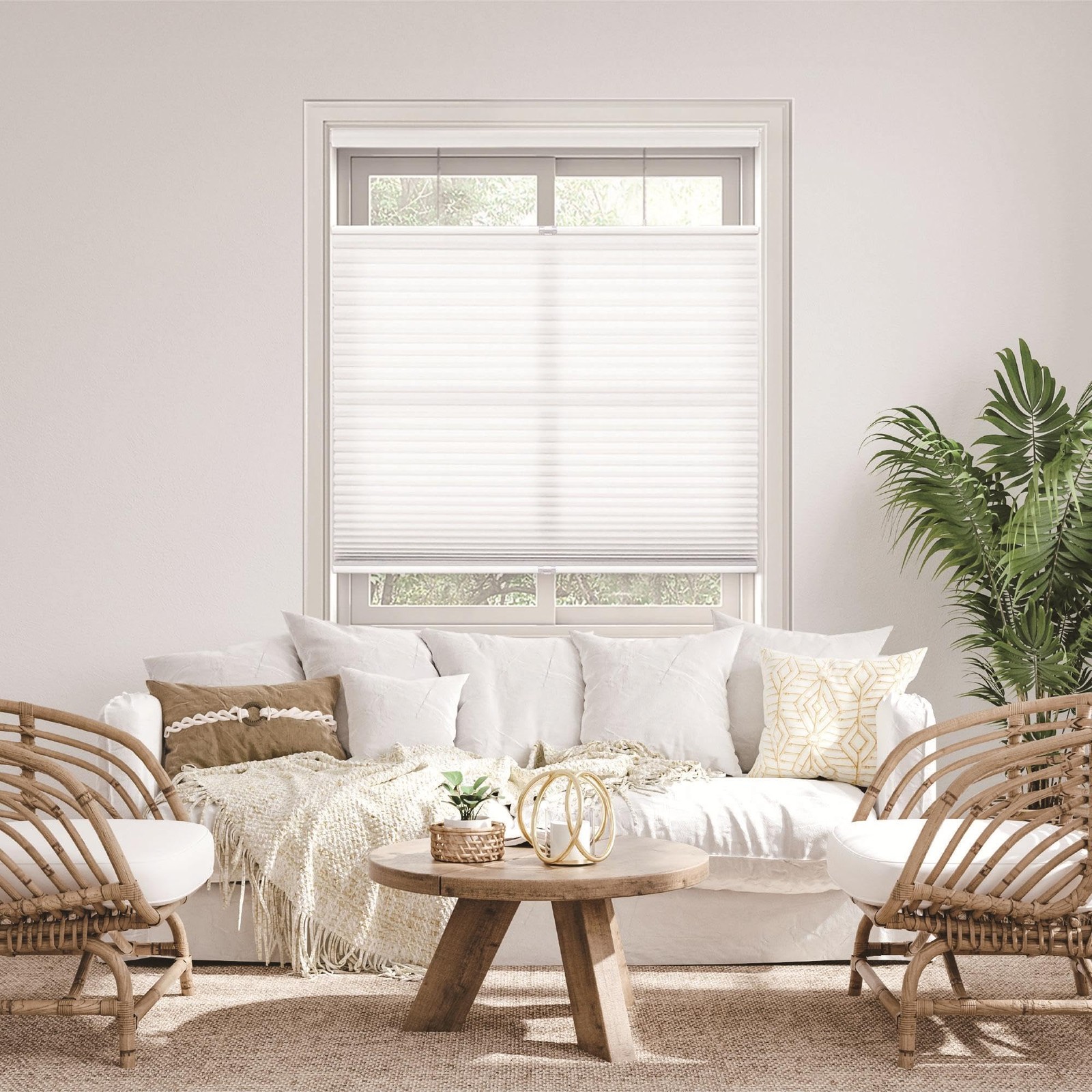 Cordless 1.5″ Light Filtering Top Down Bottom Up Cellular Shade, 20.5″ W x 36…