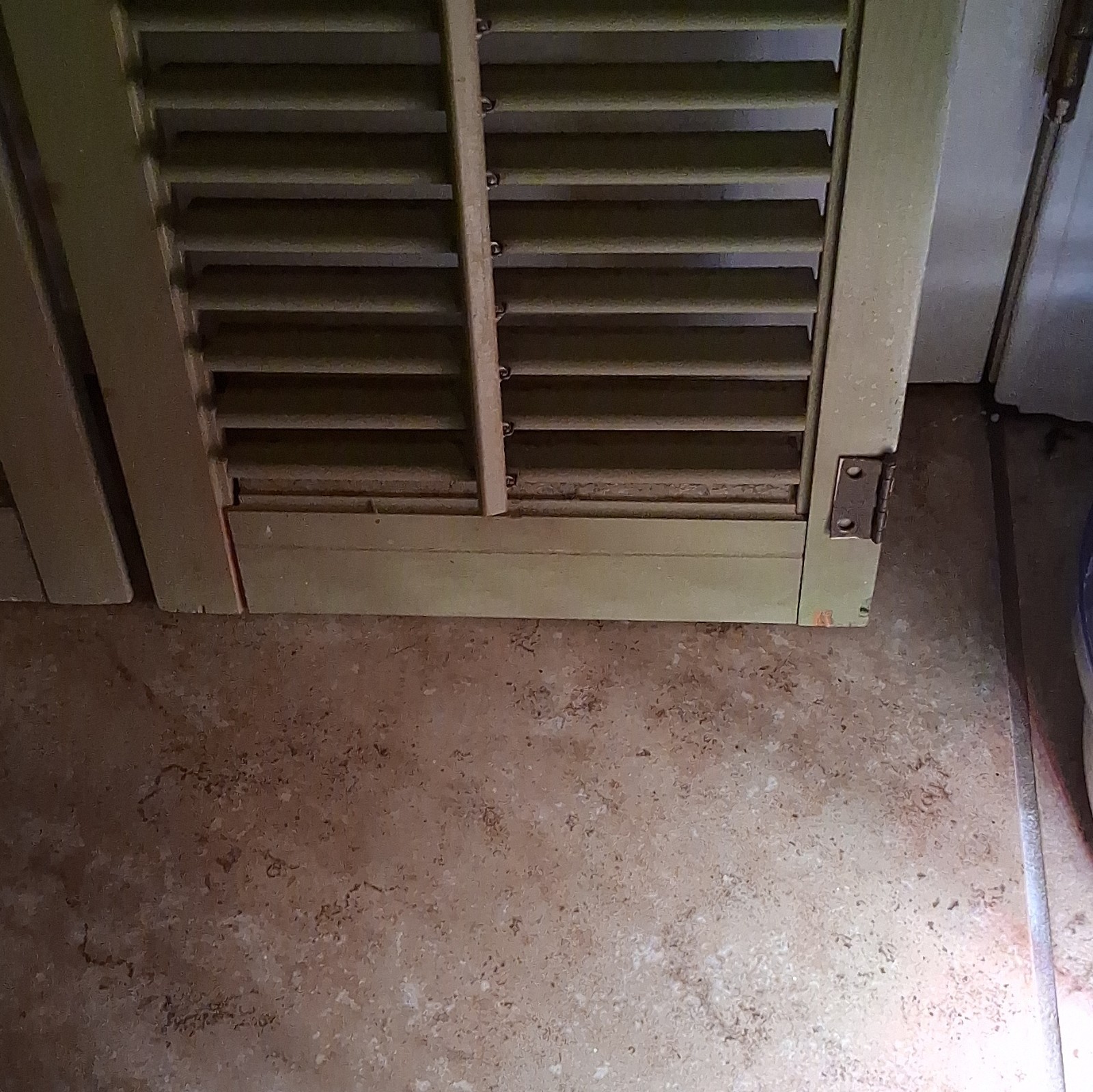 Green Full Height Louvered Window Shutters 2-Panel Wood 47mm Slats 11½”x35⅛” Ea