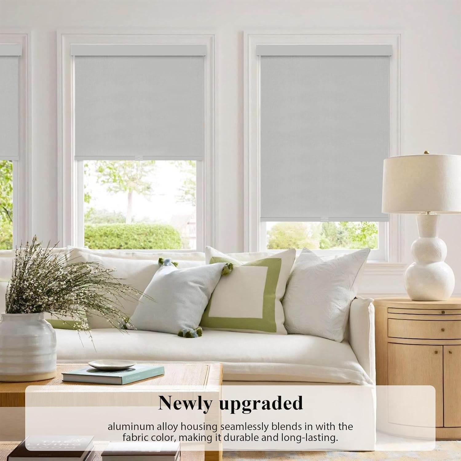 Blackout Roller Shades, Cordless Blinds with Valance, Window Shades for Home,