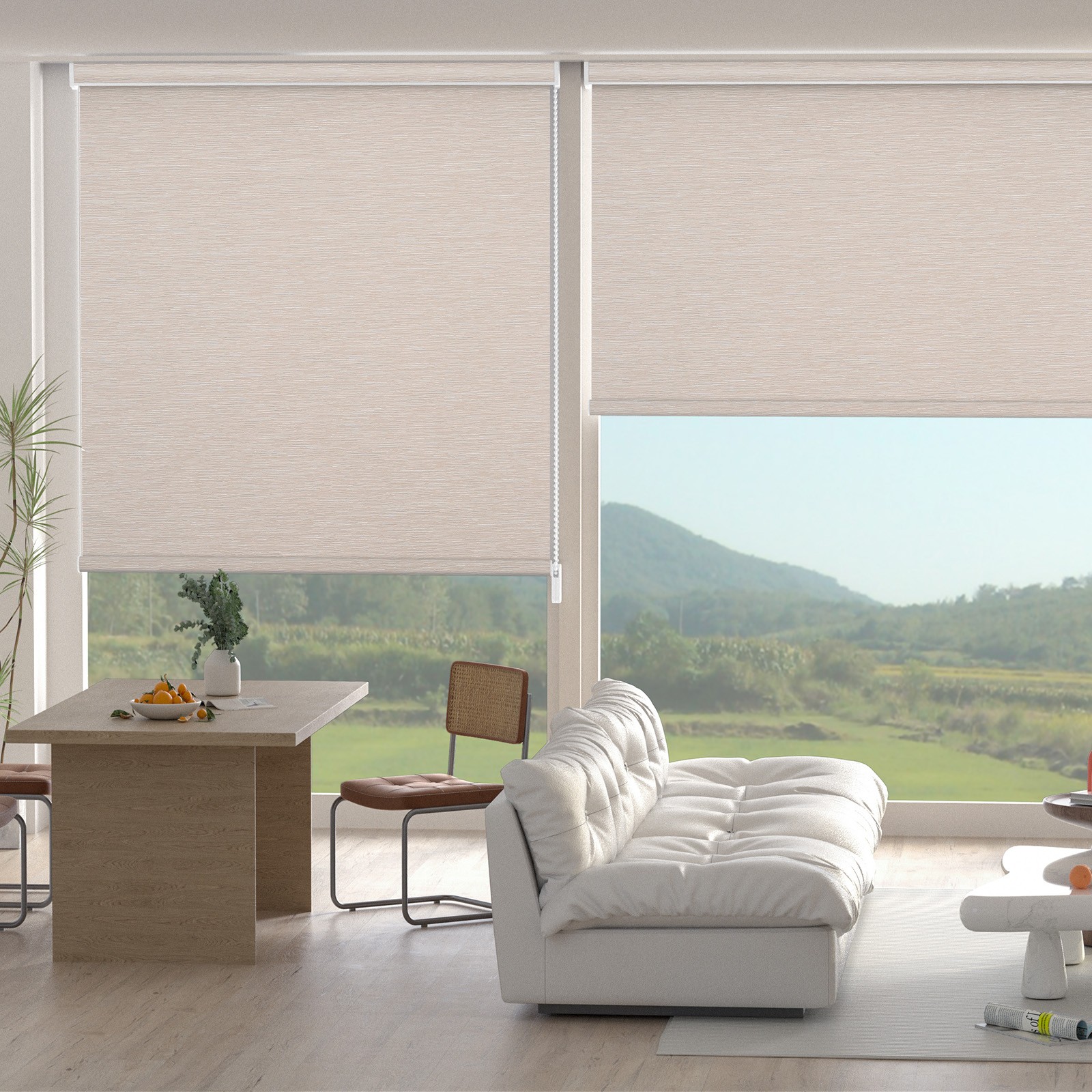 Changshade CUSTOM Roller Shades Window Blinds Room Darkening Curtain-Blackout